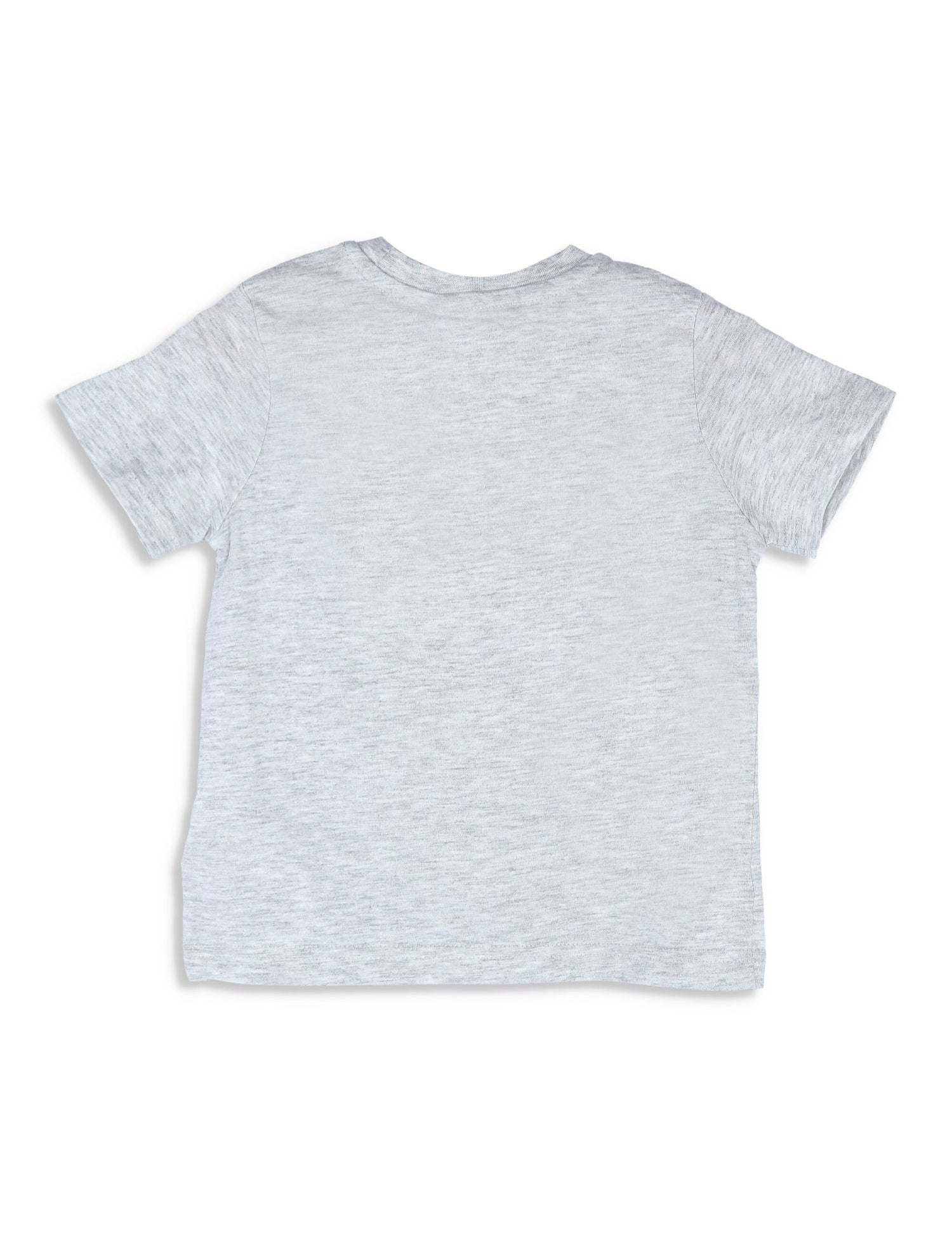 T-shirt Grigio Chicco