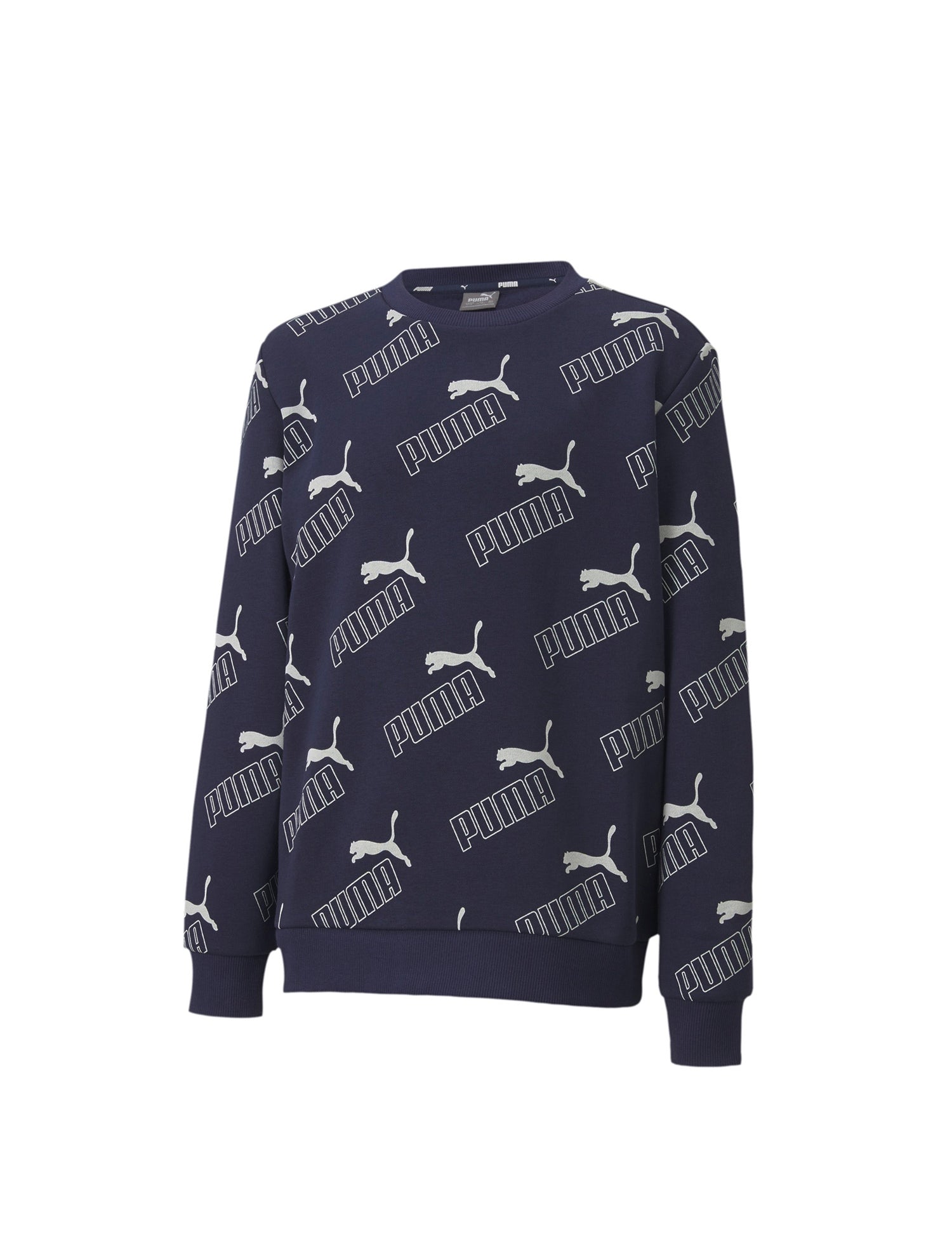 Felpe Blu Puma