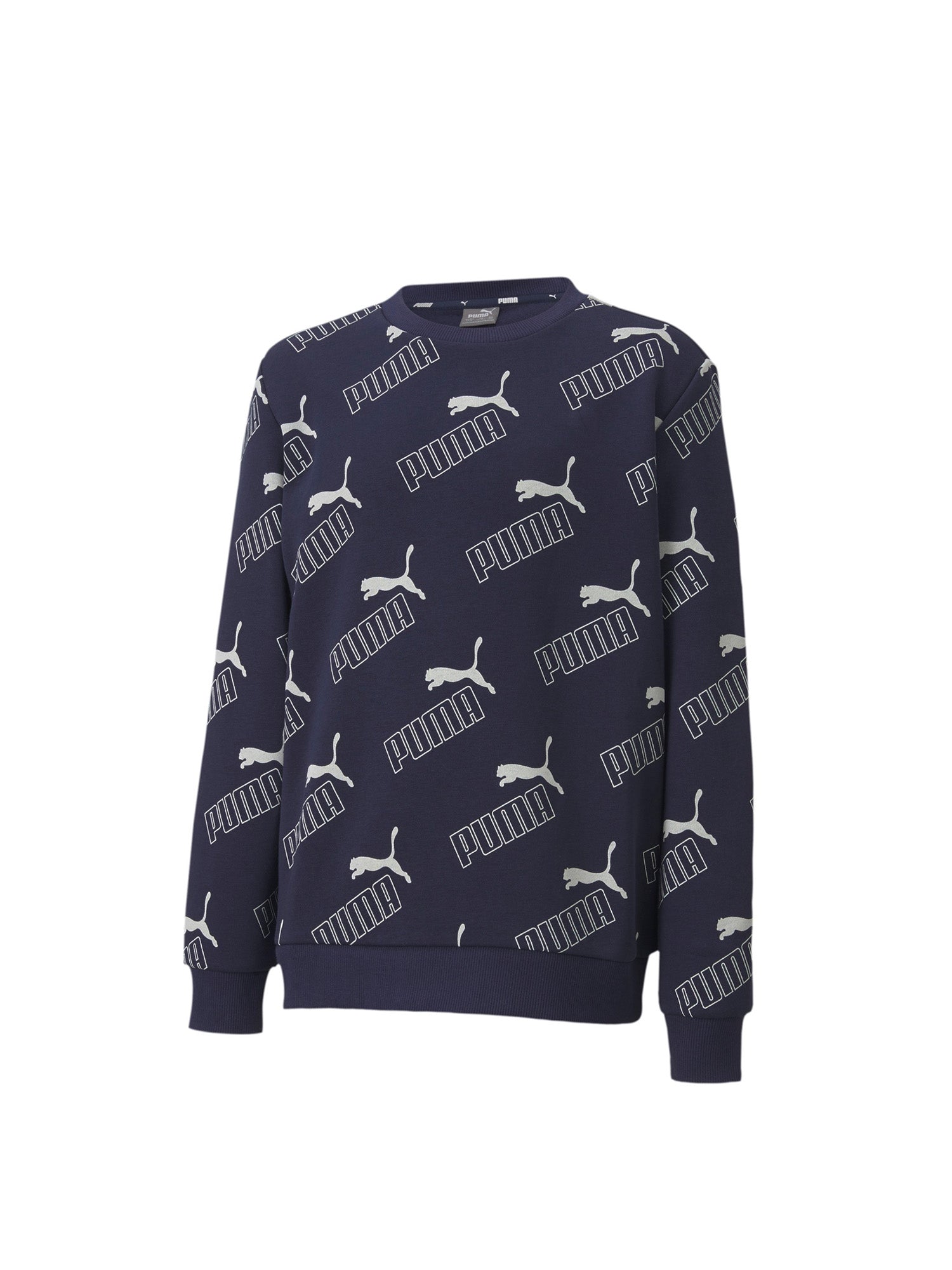 Felpe Blu Puma