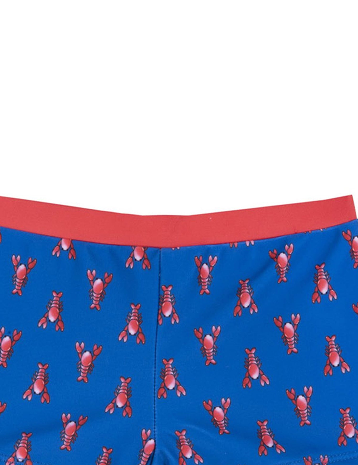 Costumi Blu Chiaro Chicco