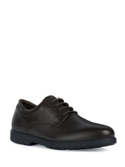 Scarpe lacci Marrone Geox
