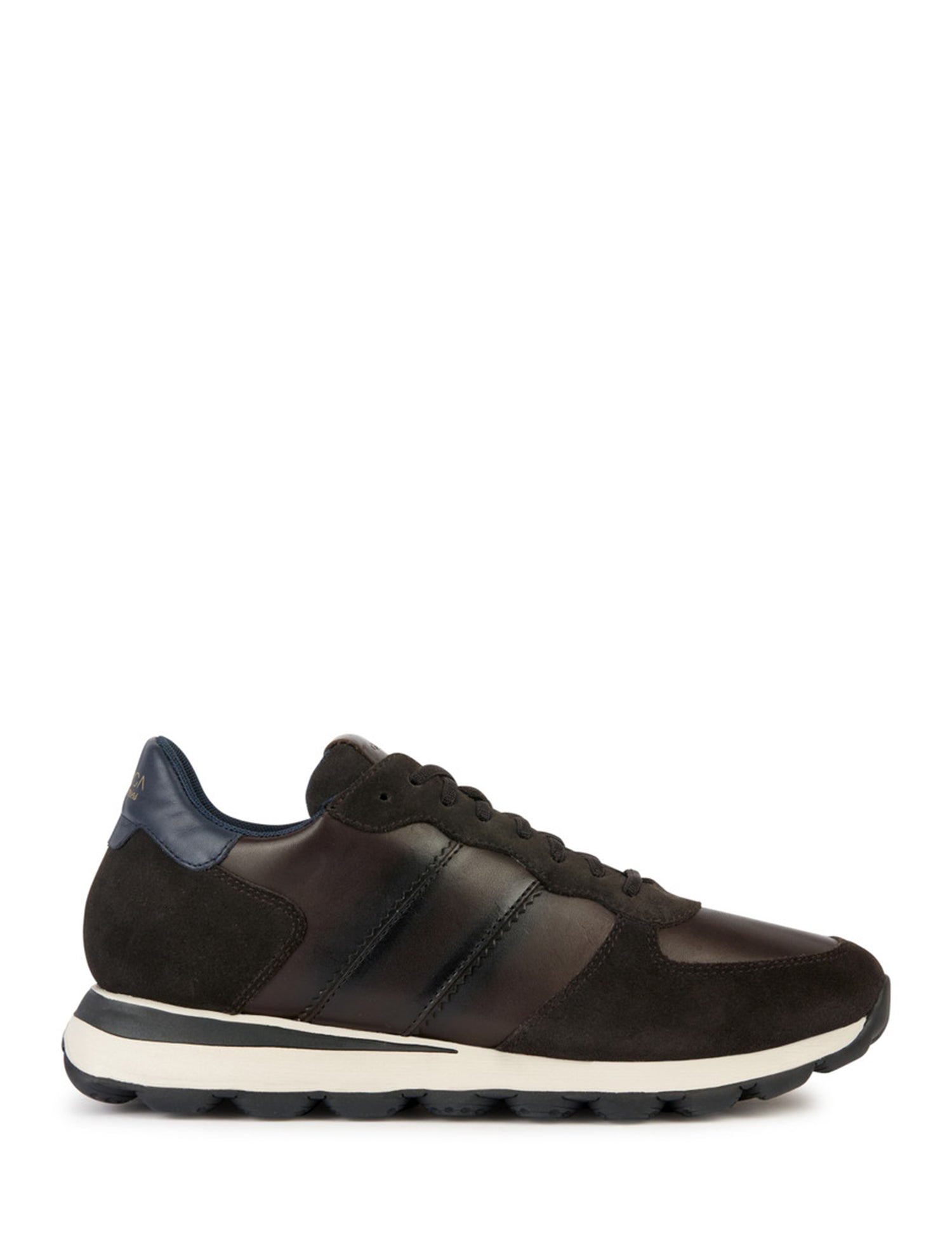 Sneakers Marrone Geox