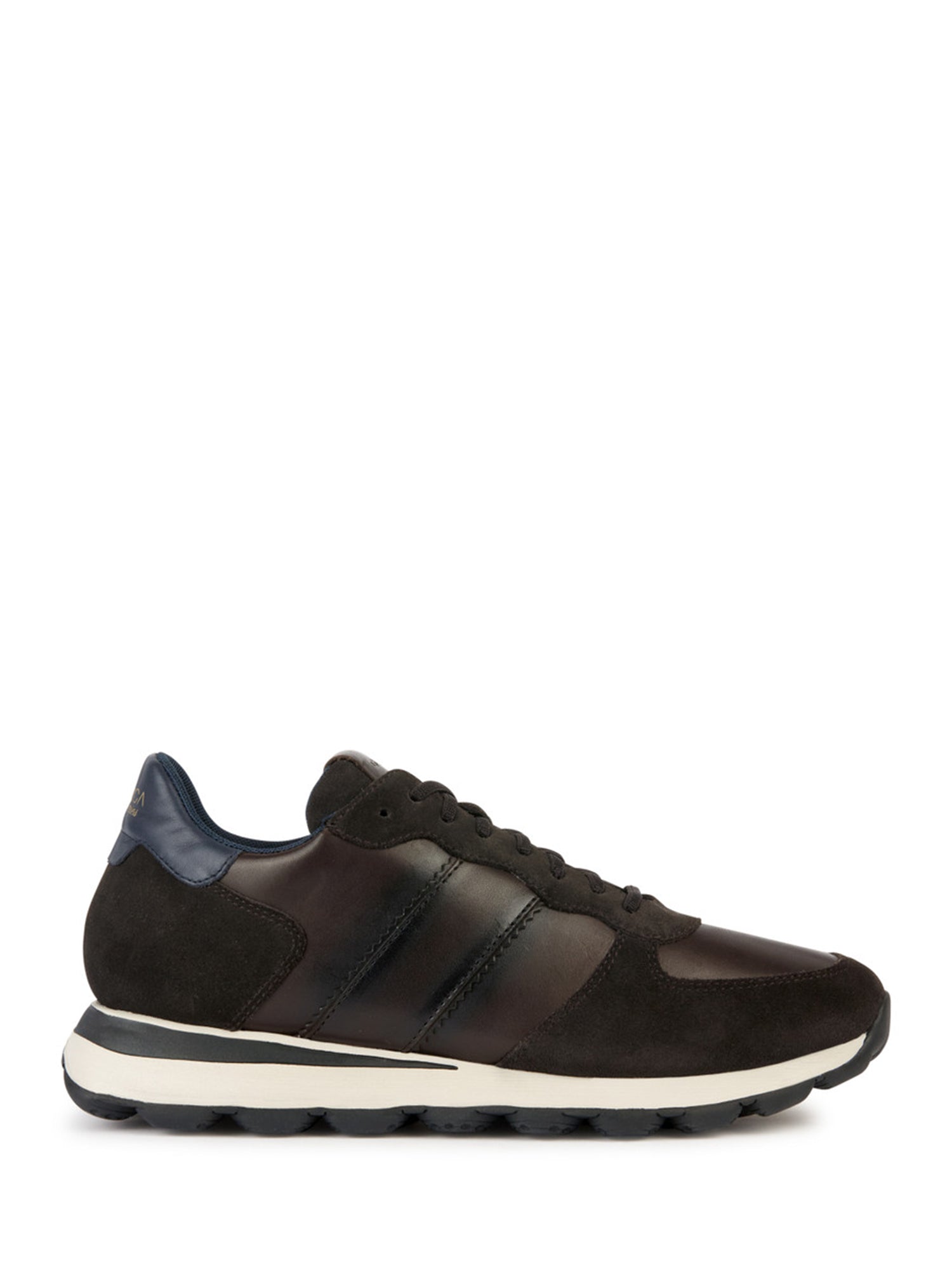 Sneakers Marrone Geox