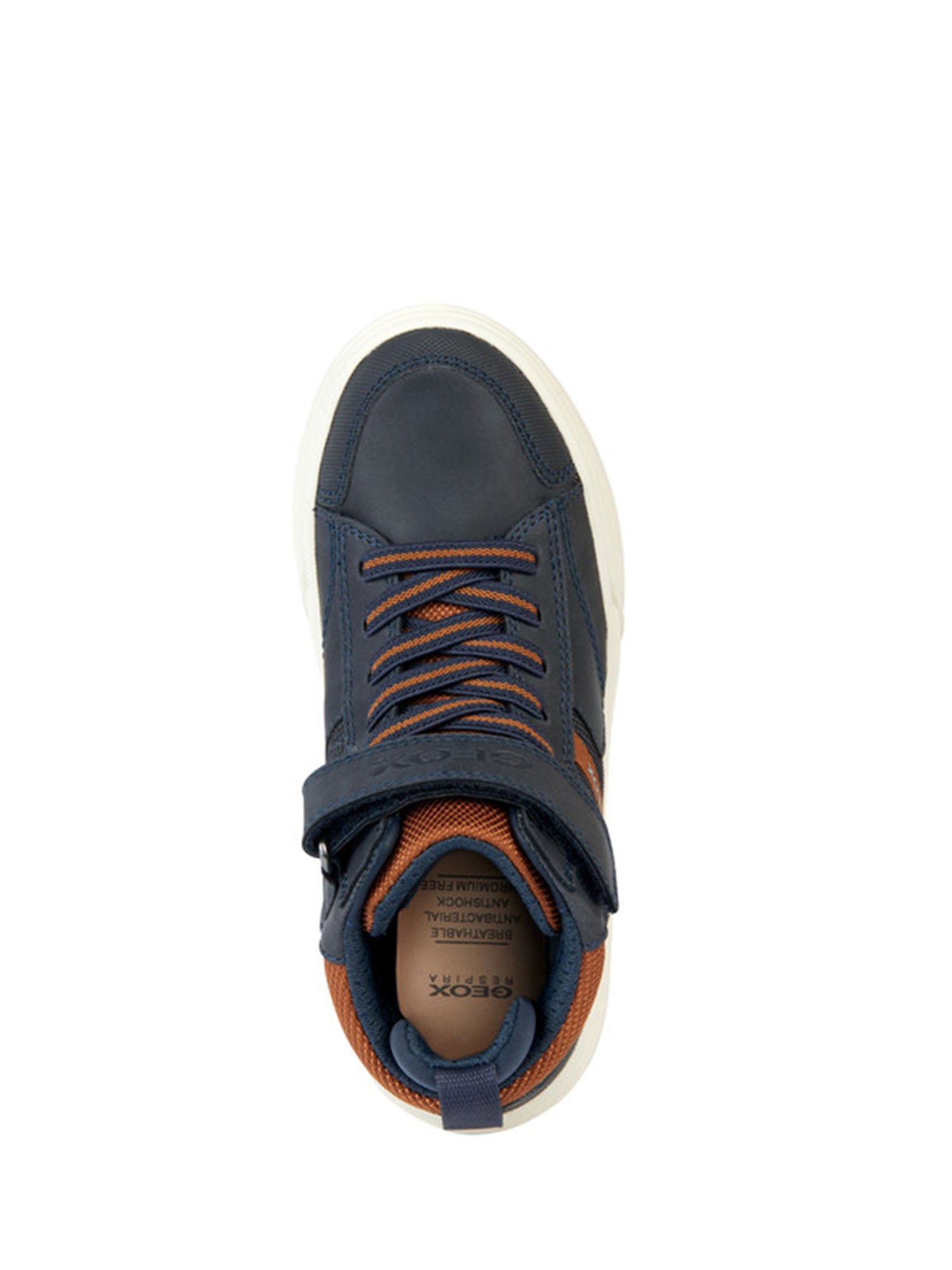 Sneakers Blu Geox