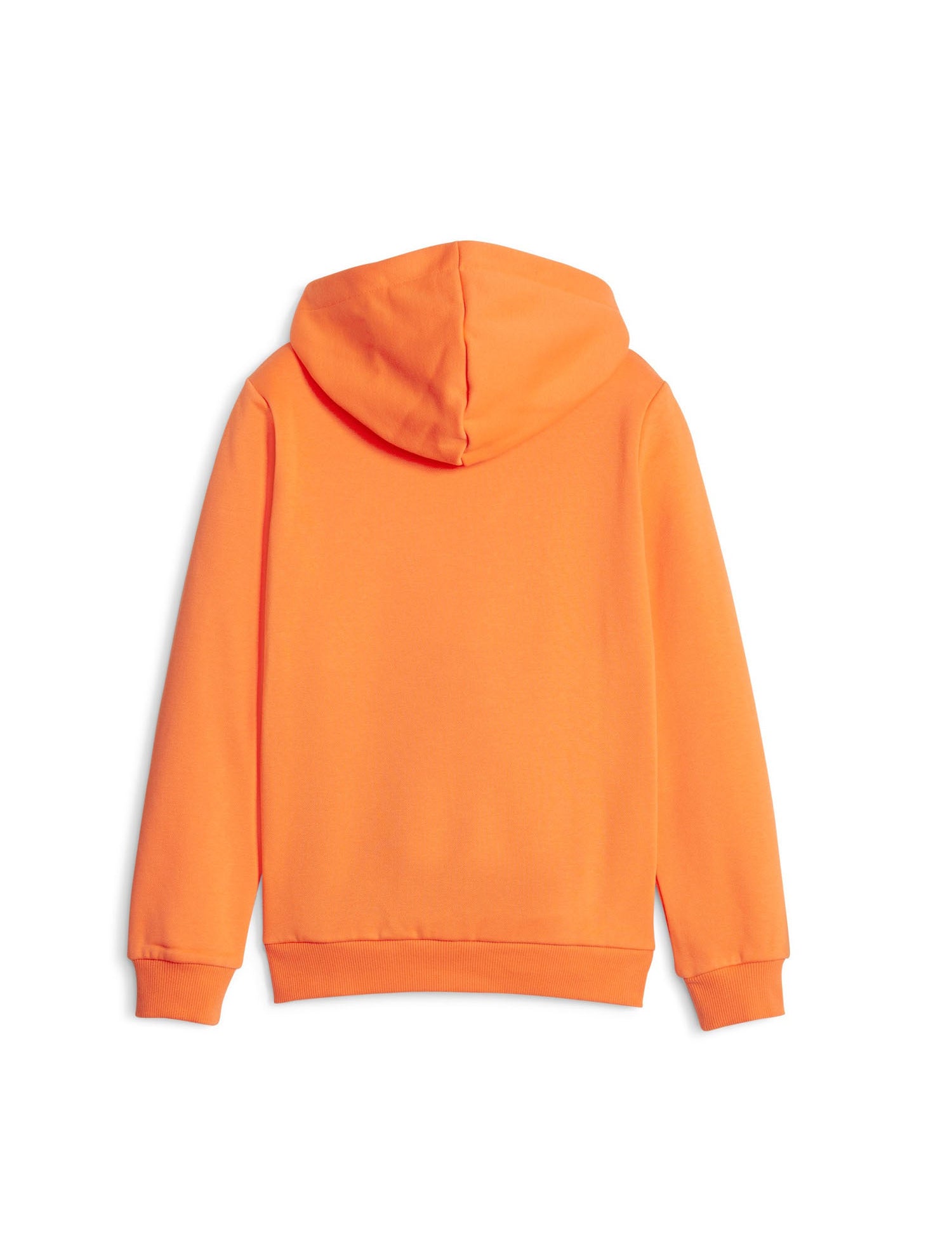 Felpe Arancio Puma