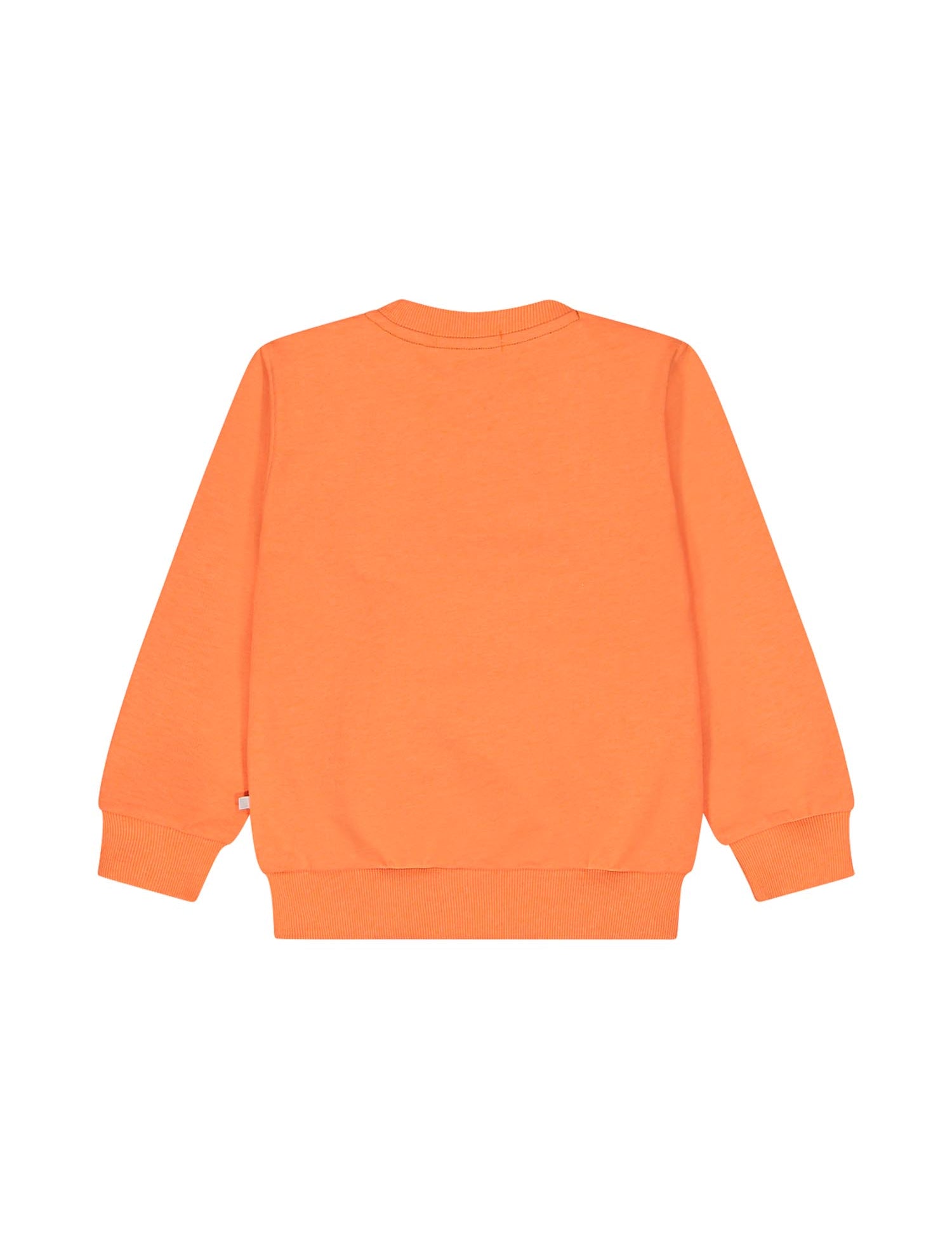 Felpe Arancio Melby