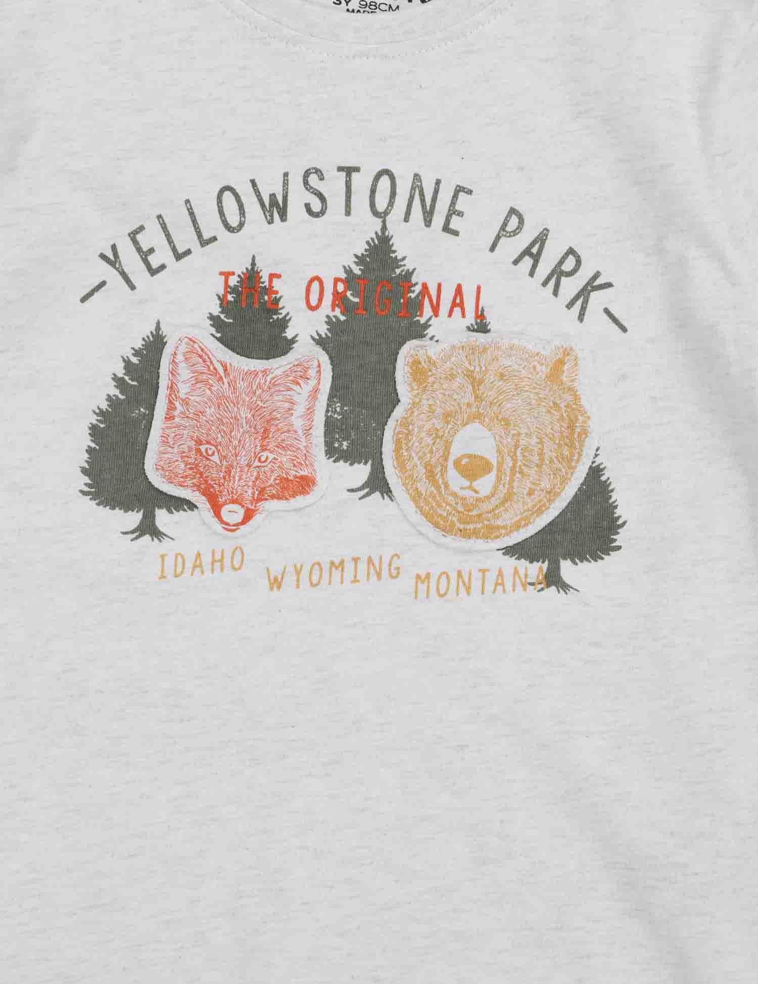 T-shirt Grigio Losan