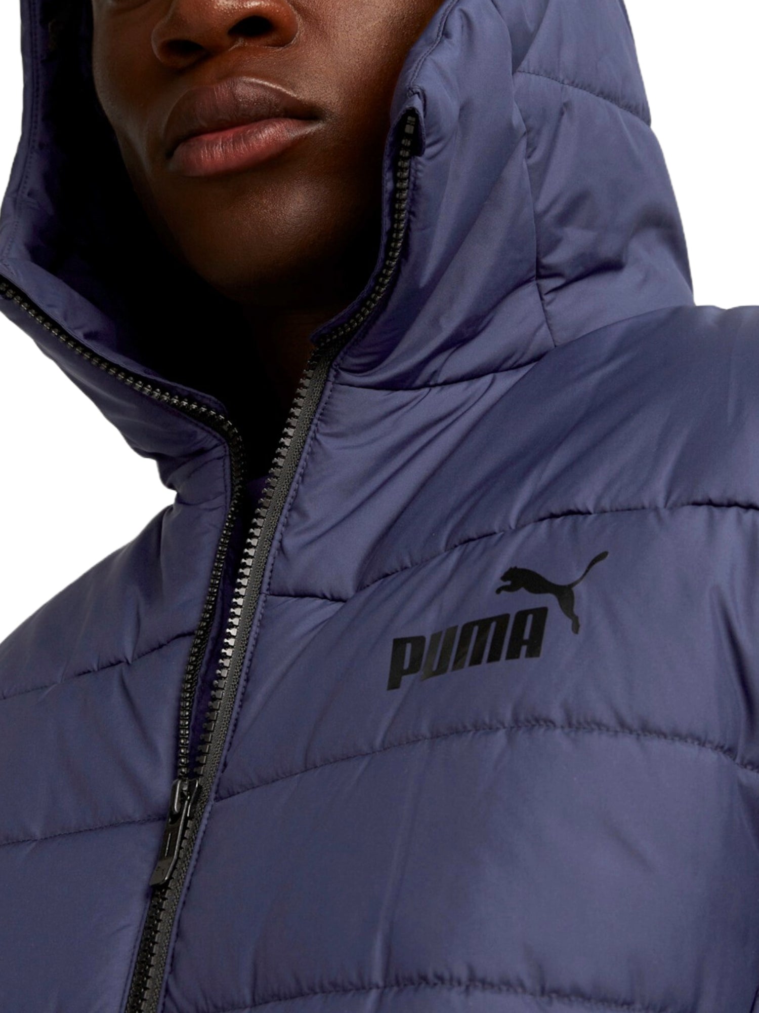Piumini Blu Puma