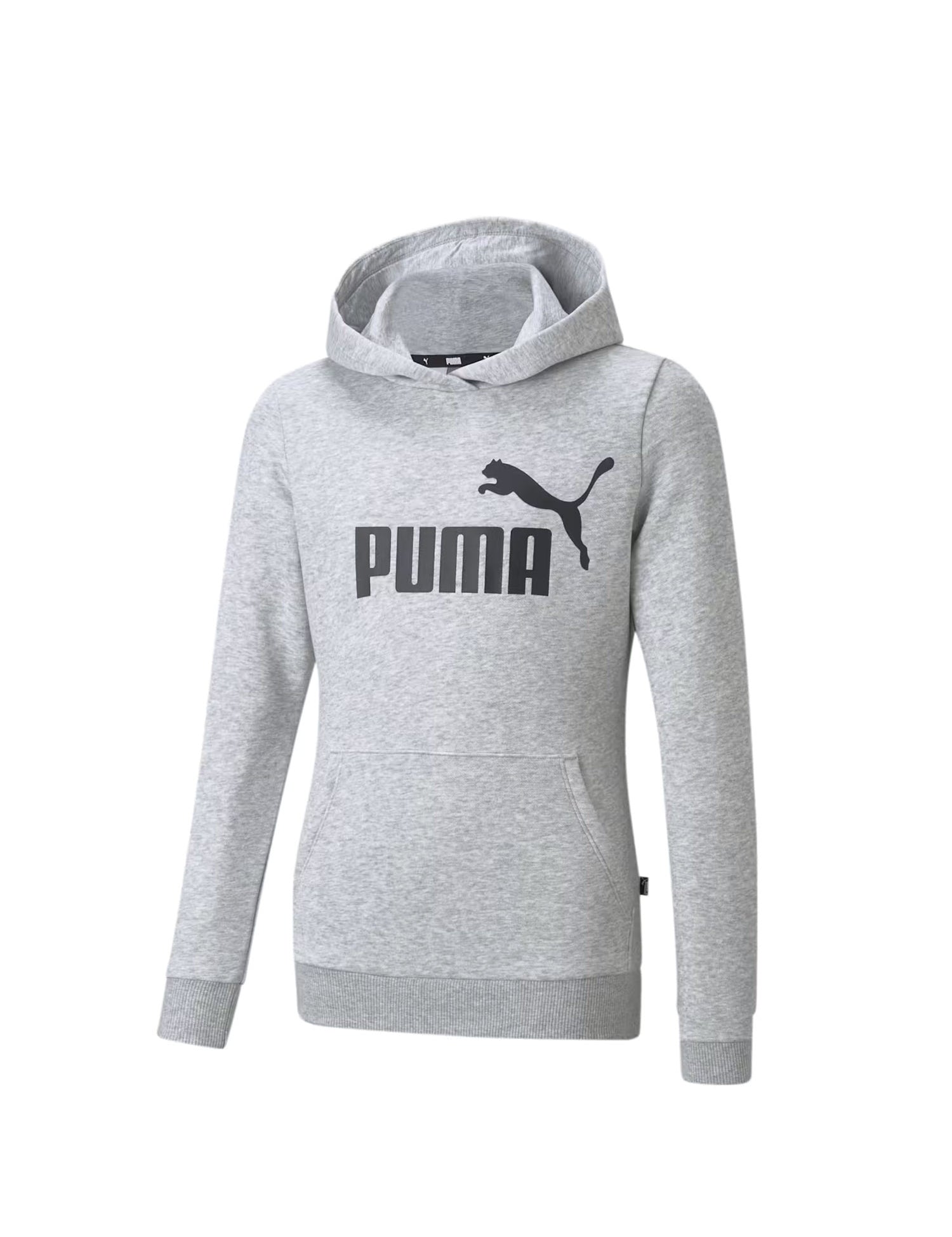 Felpe Grigio Puma