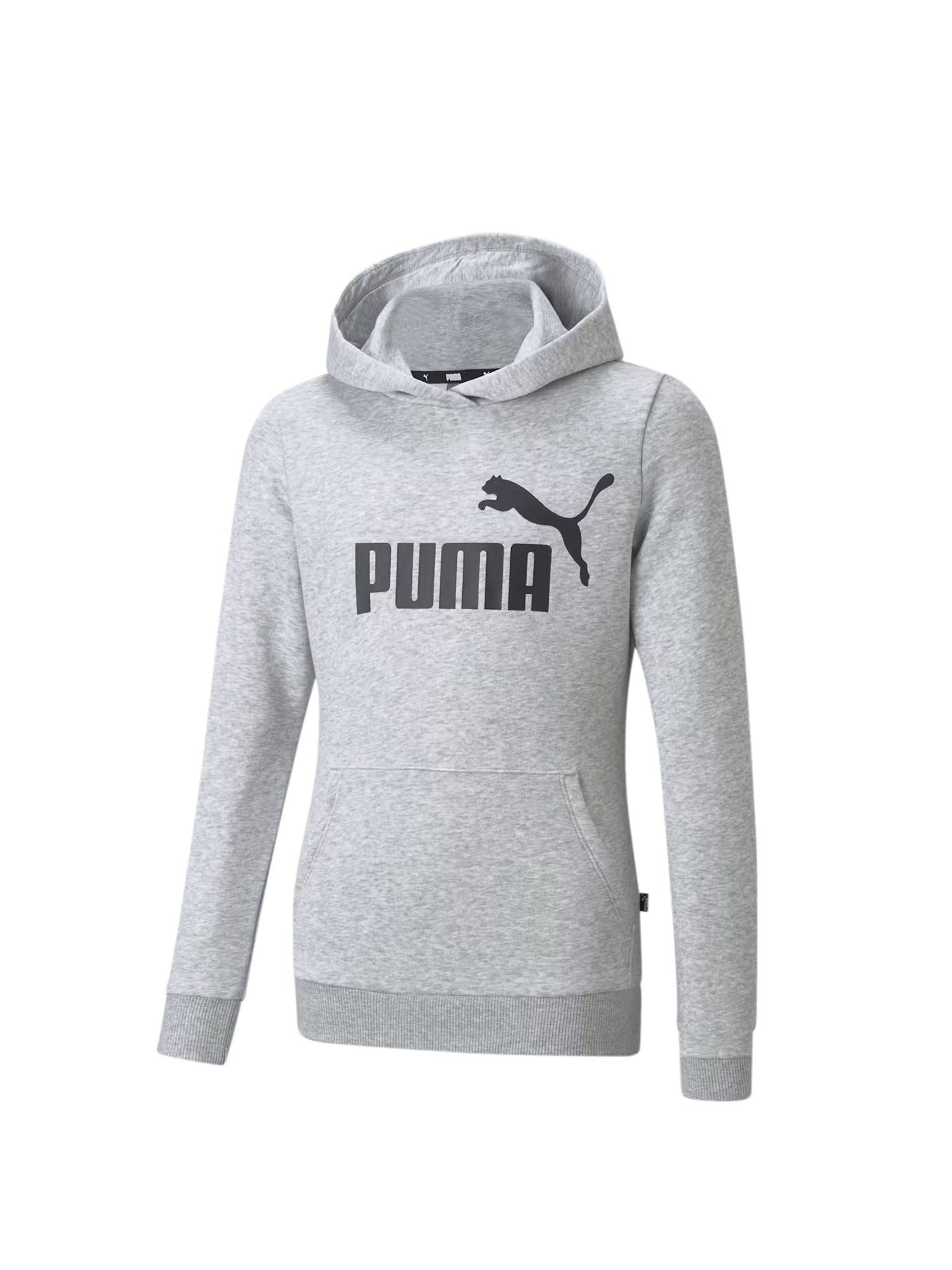 Felpe Grigio Puma