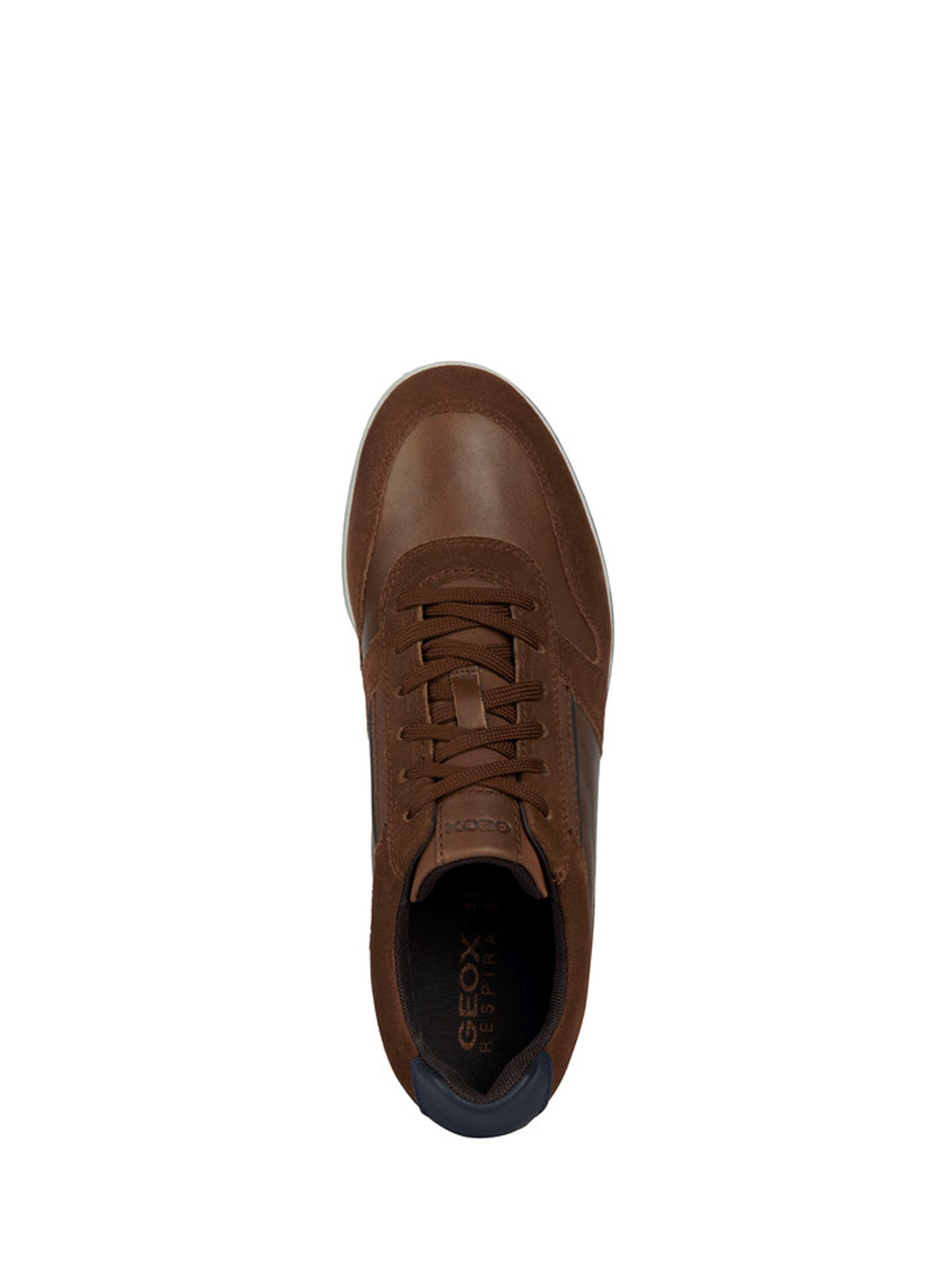 Sneakers Marrone Geox