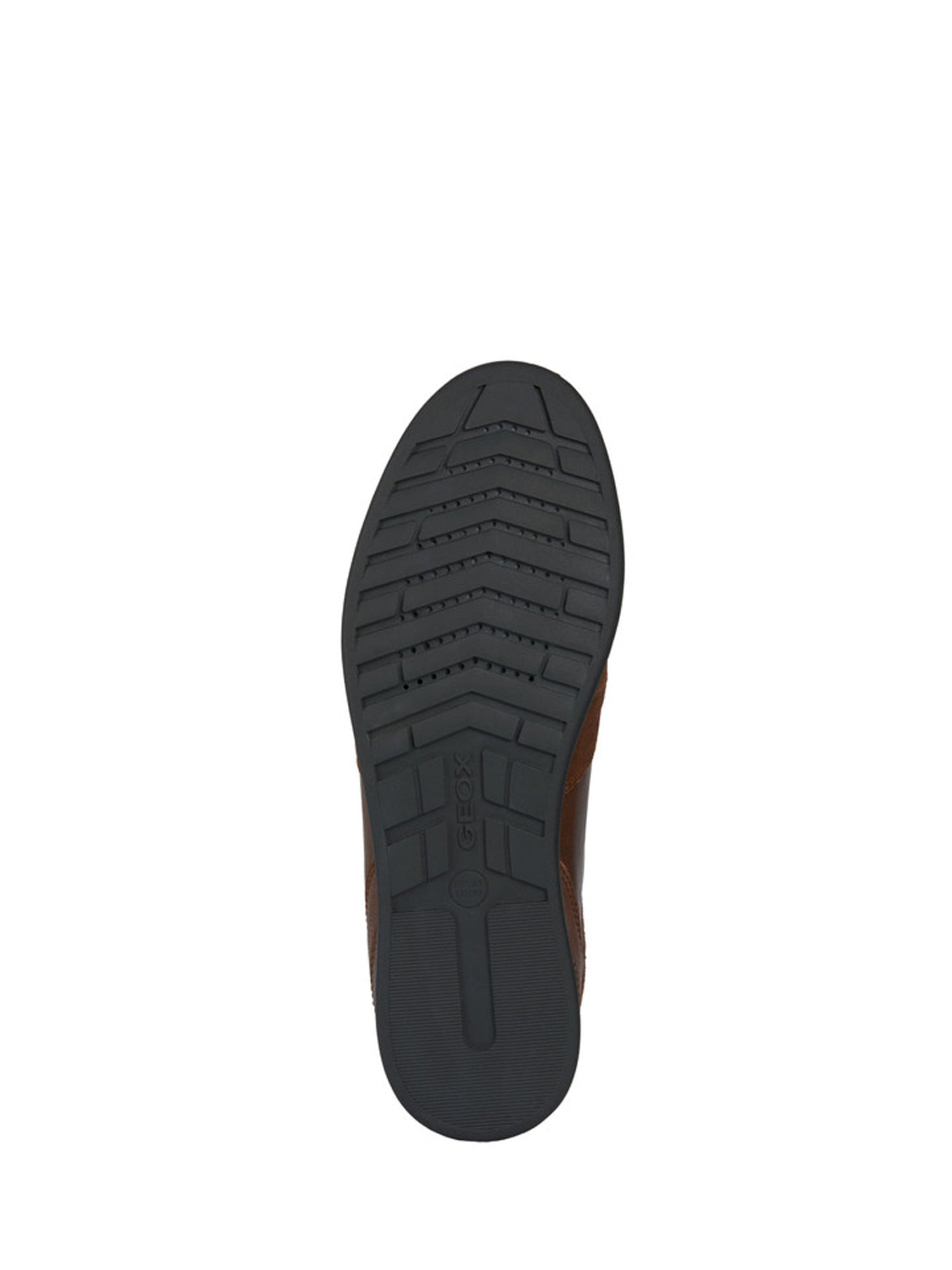 Sneakers Marrone Geox