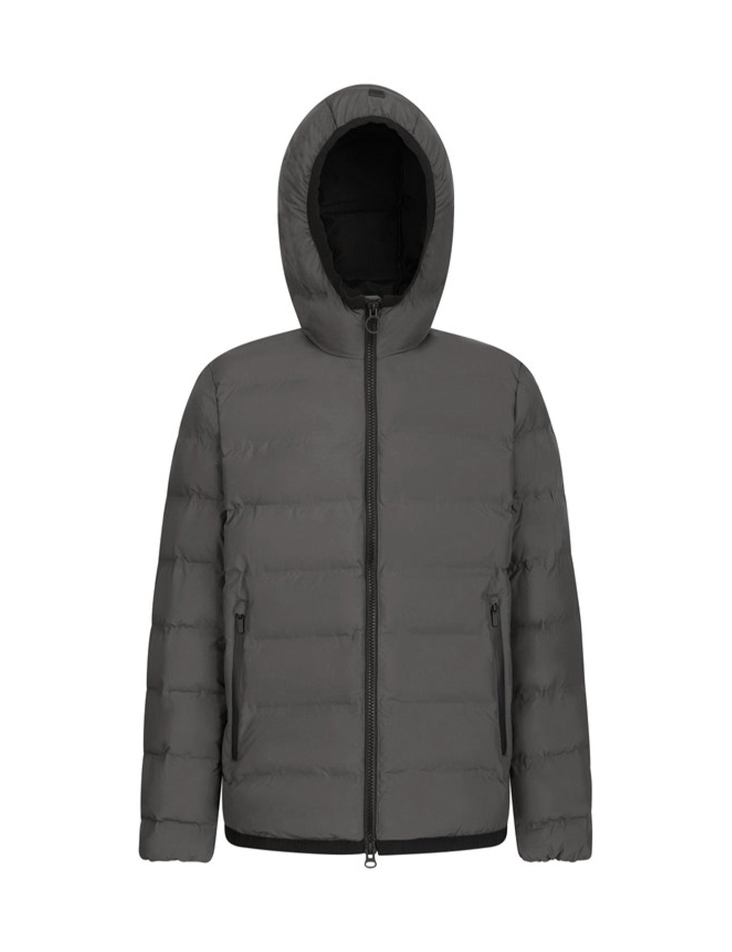 Piumini Grigio Geox