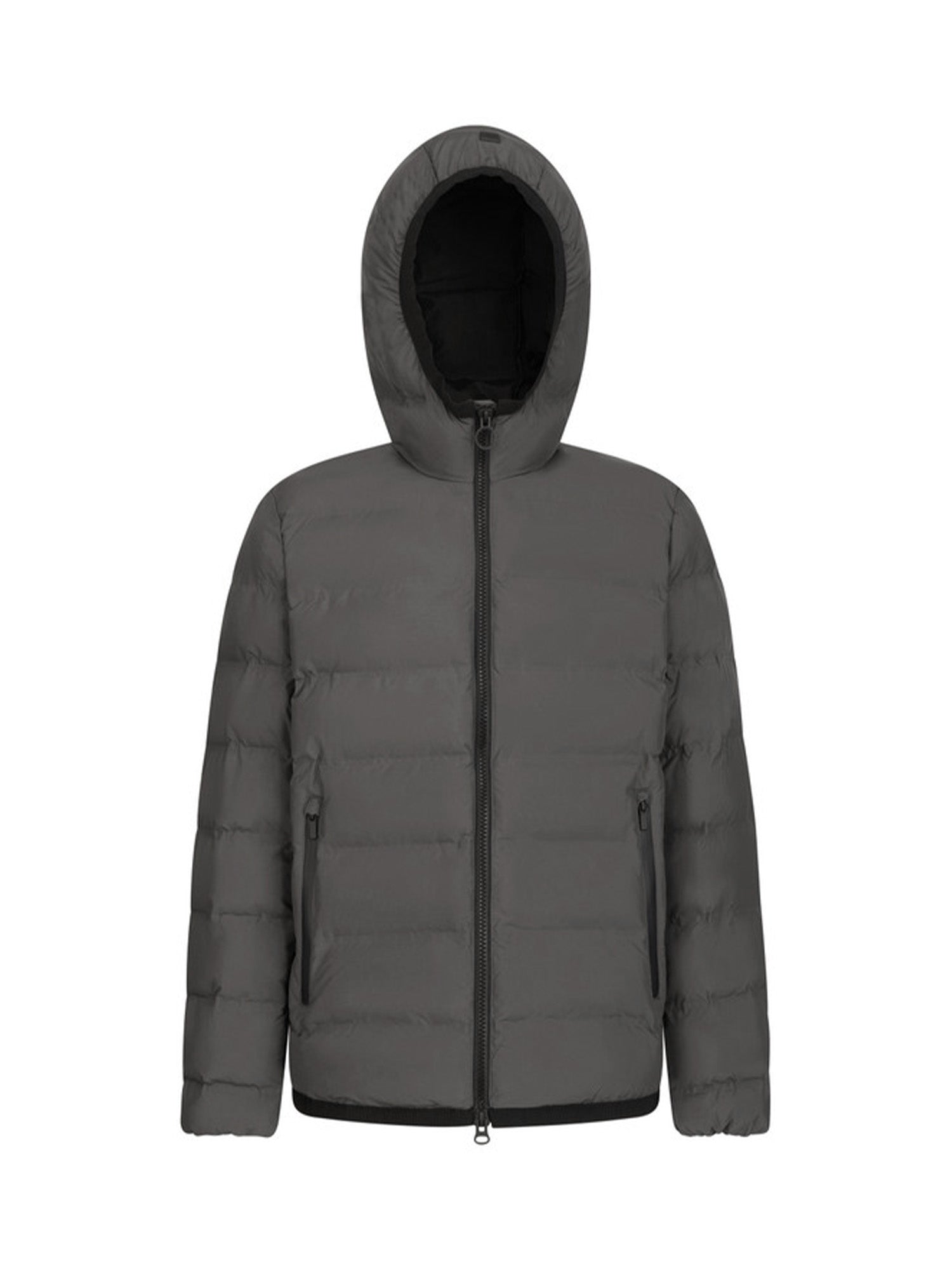 Piumini Grigio Geox