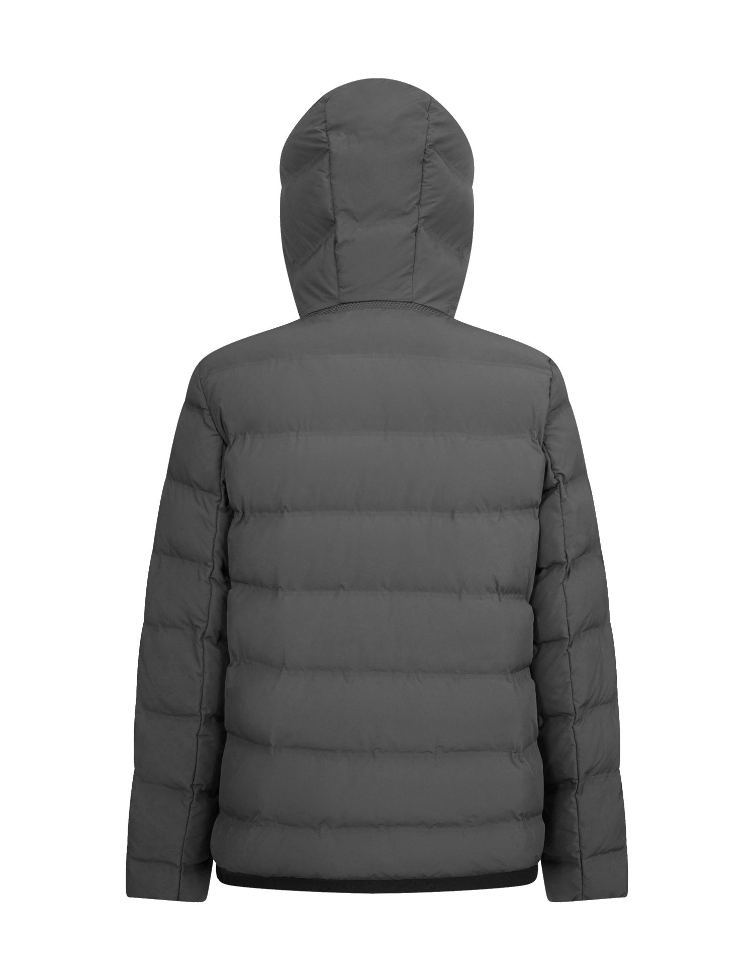 Piumini Grigio Geox