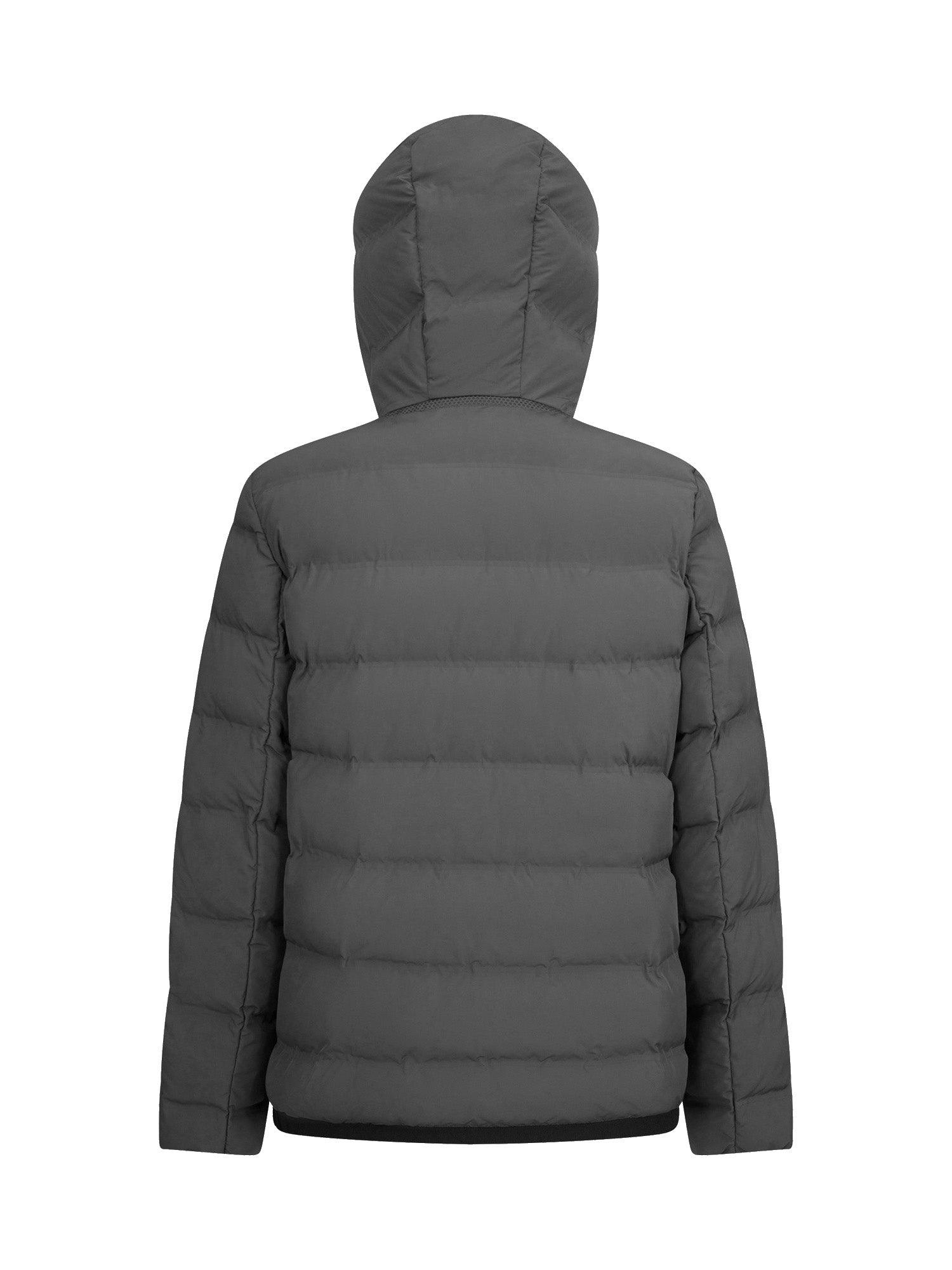 Piumini Grigio Geox