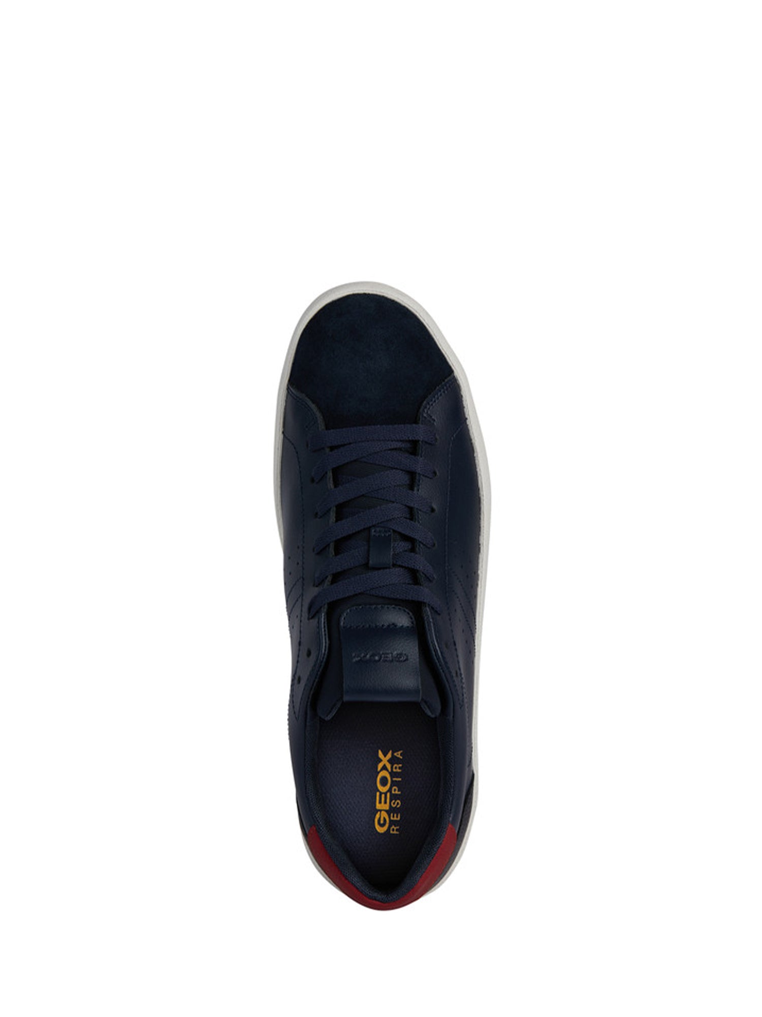 Sneakers Blu Geox