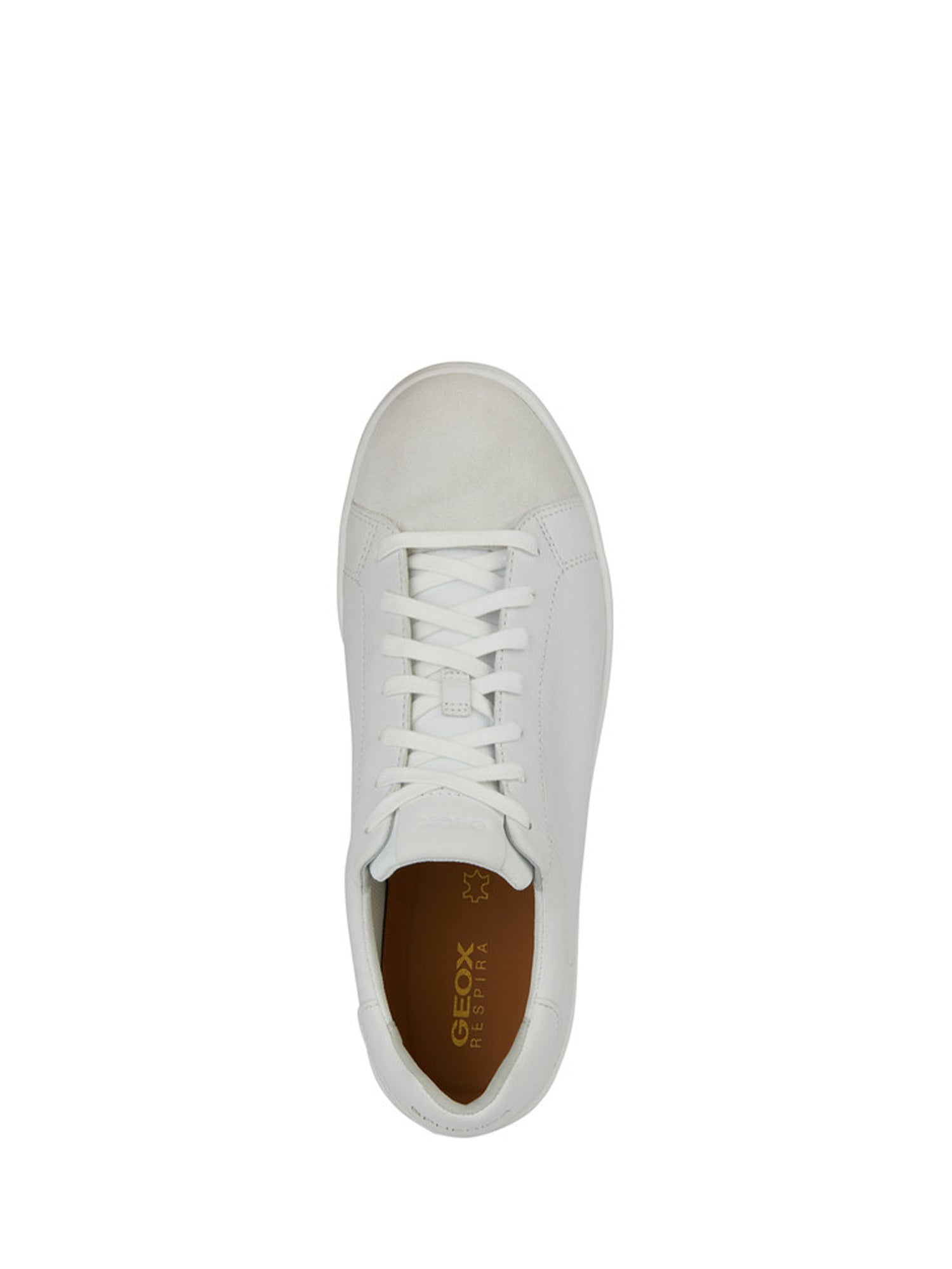 Sneakers Grigio Geox