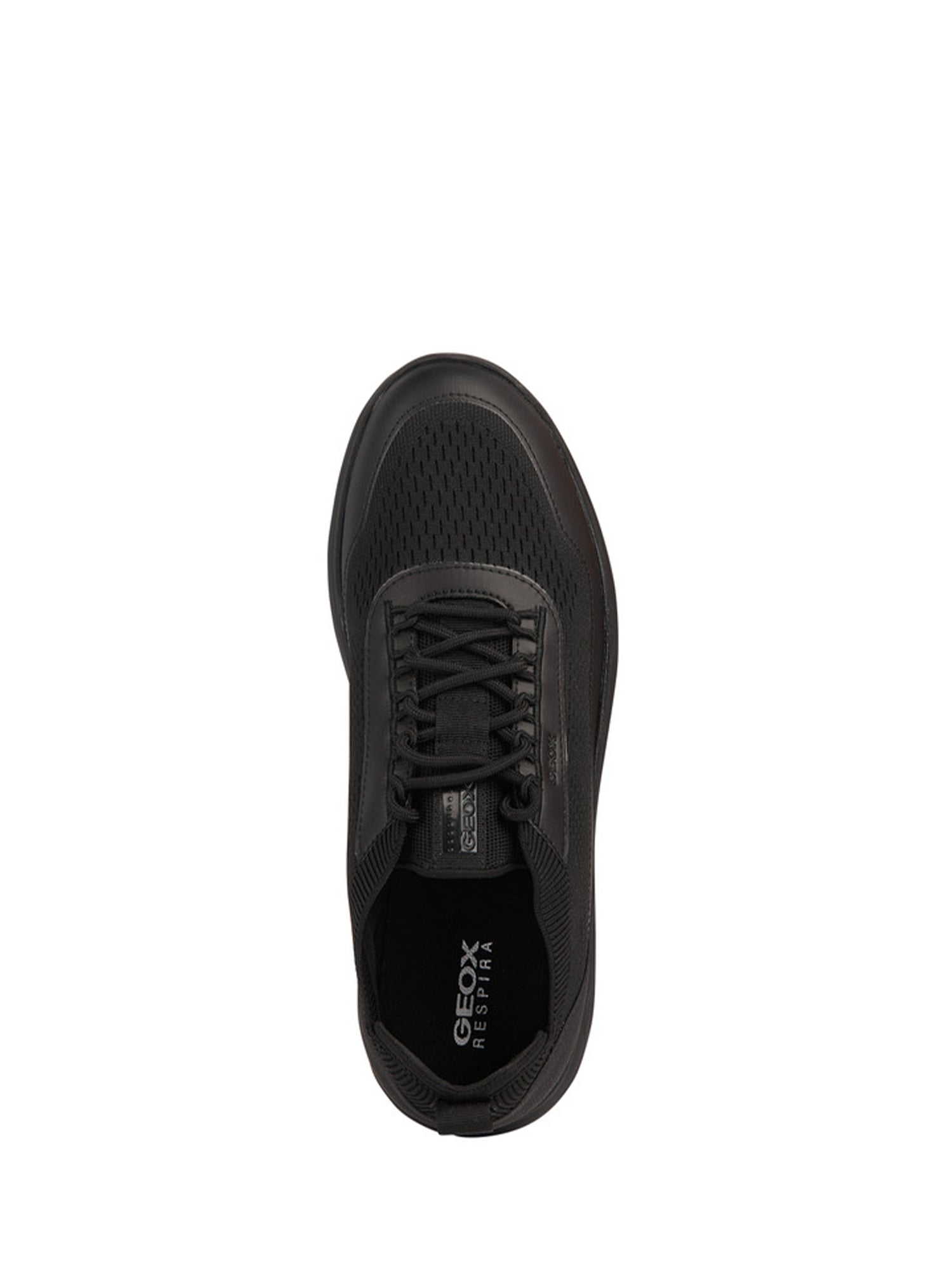 Sneakers Grigio Geox