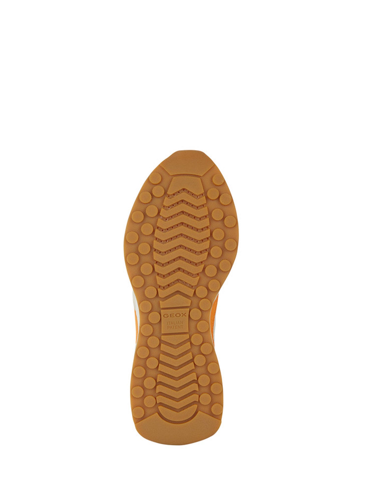 Sneakers Beige Geox