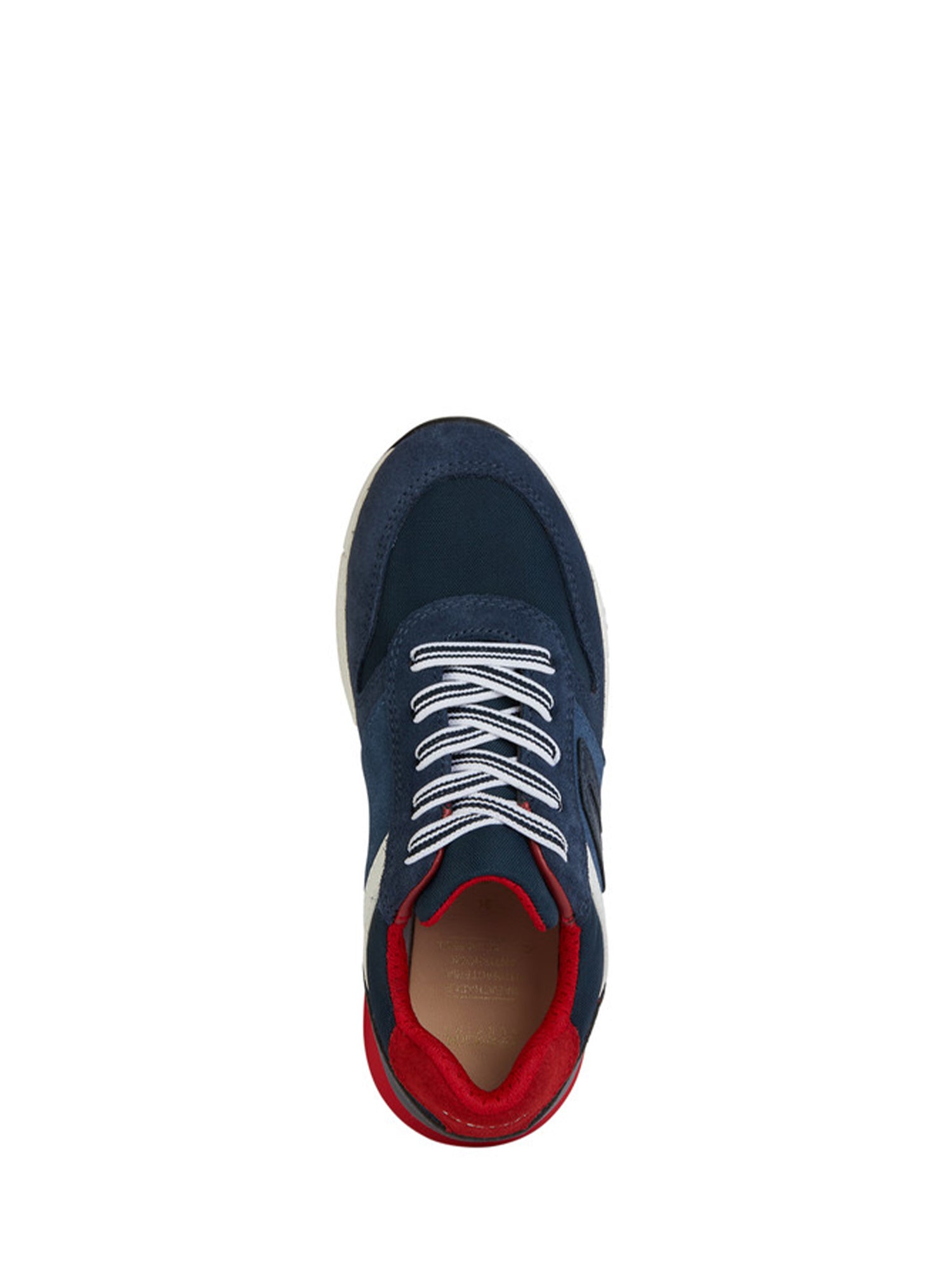 Sneakers Blu Geox