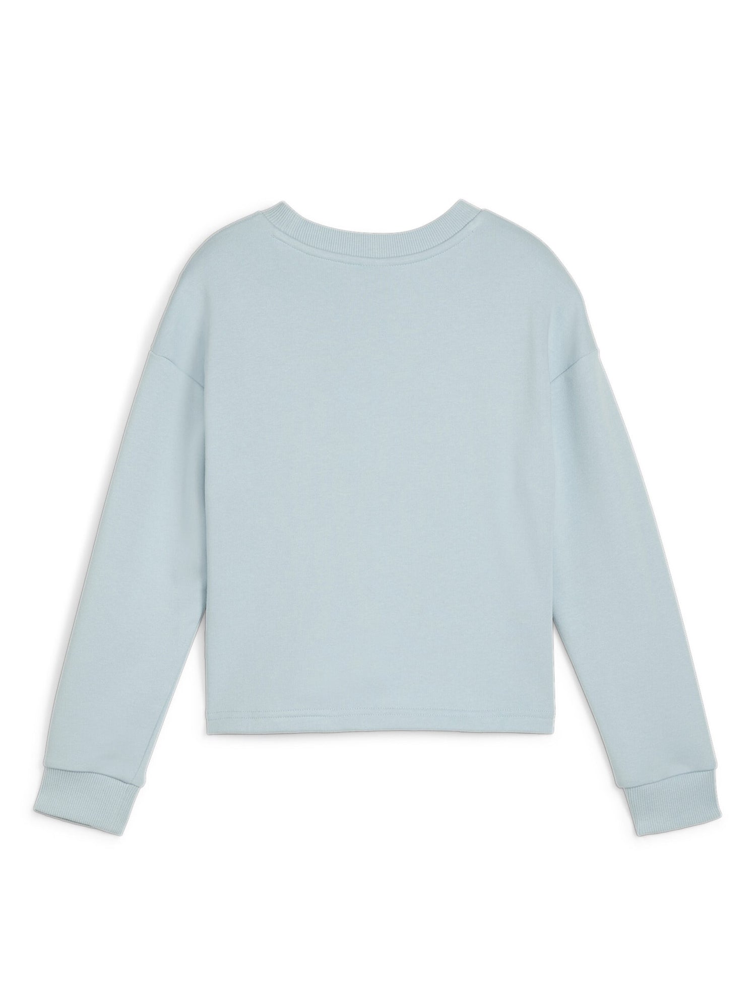 Felpe Blu Puma
