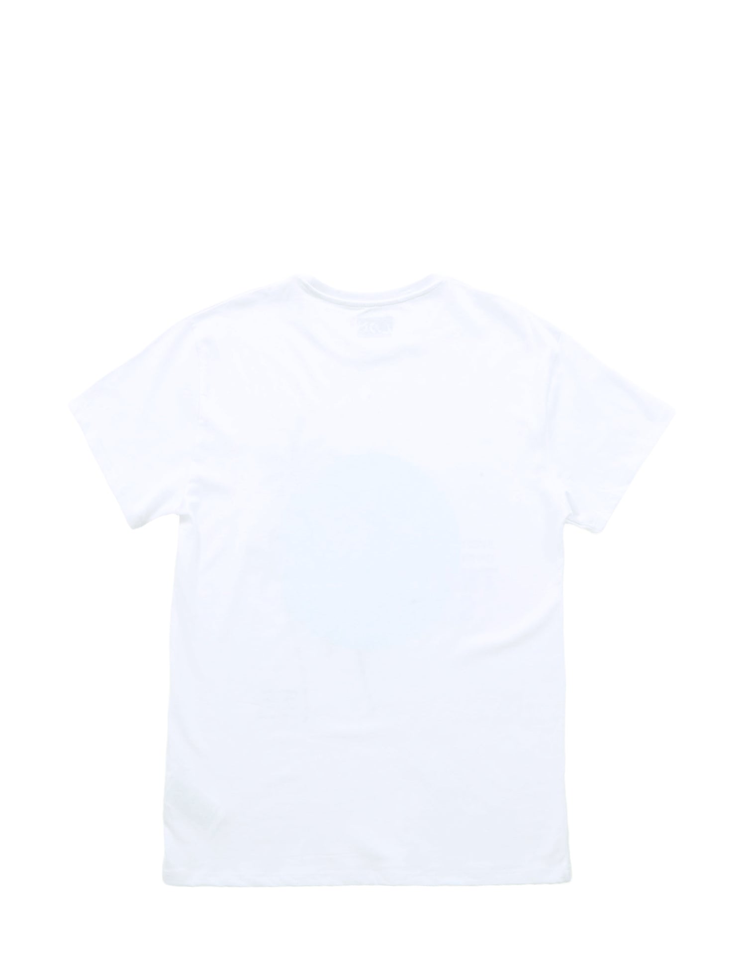 T-shirt Bianco Losan