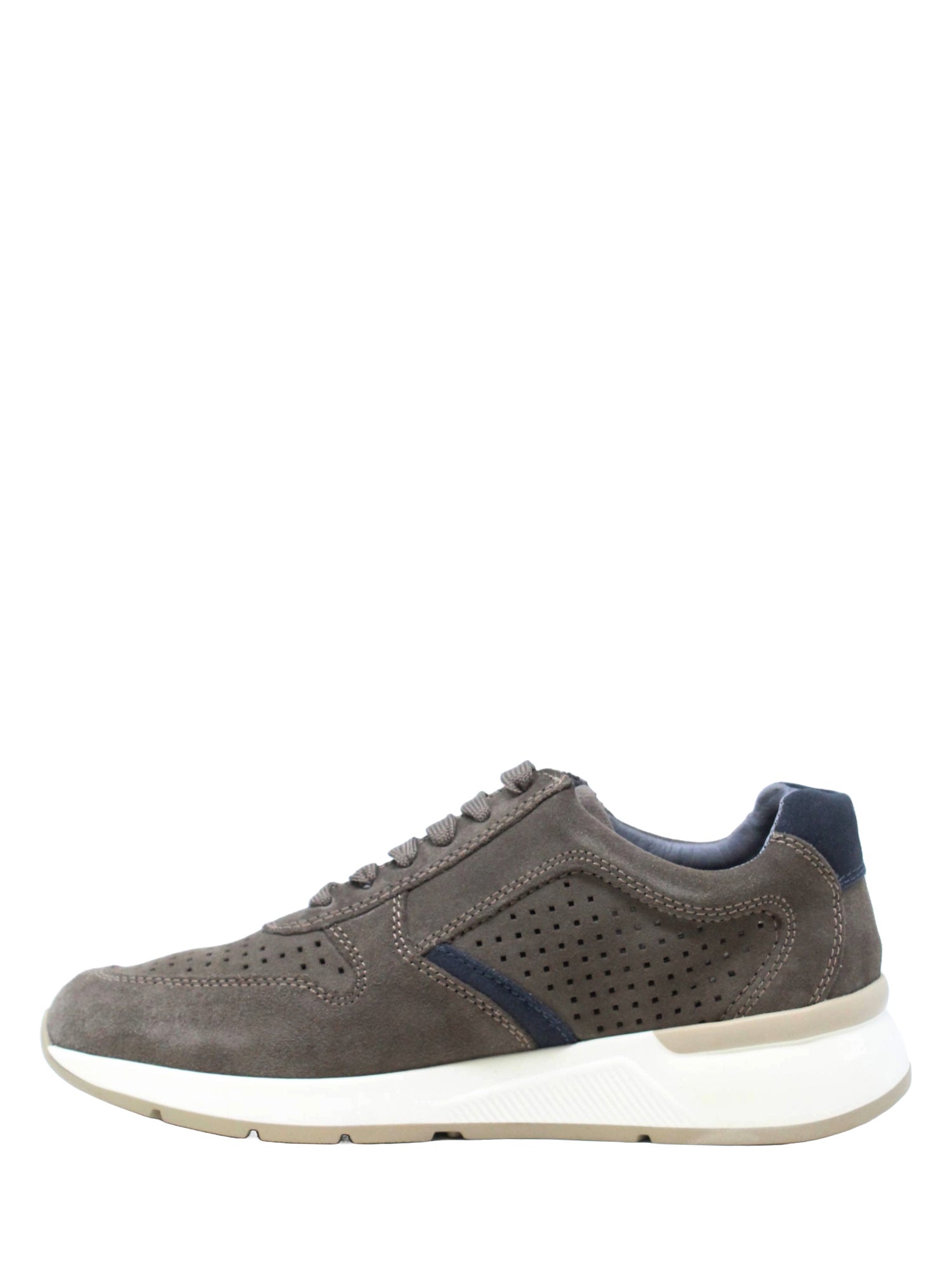 Sneakers Grigio Valleverde