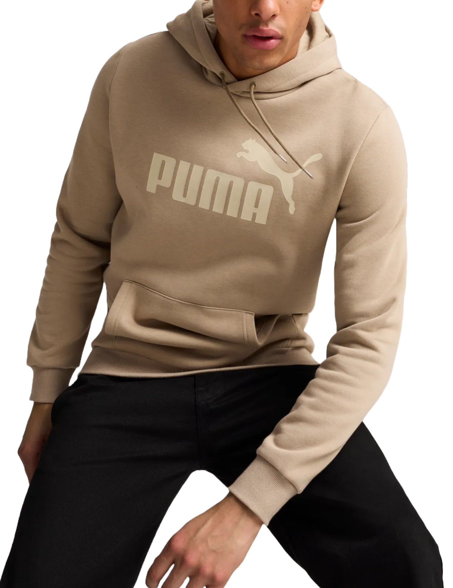 Felpe Tortora Puma