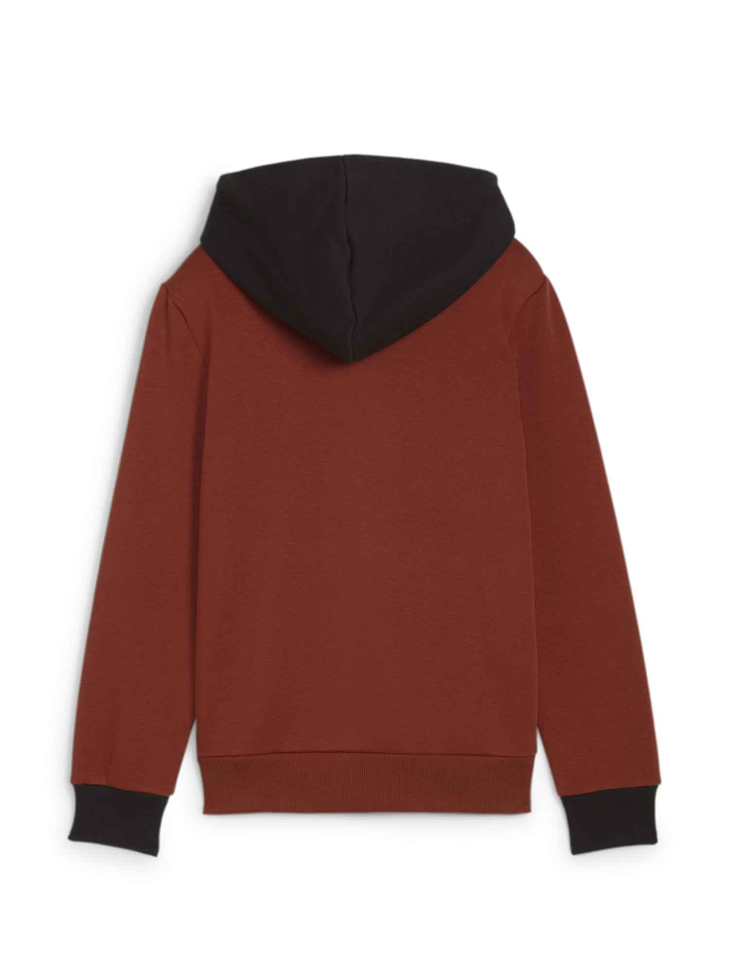 Felpe Bordeaux Puma
