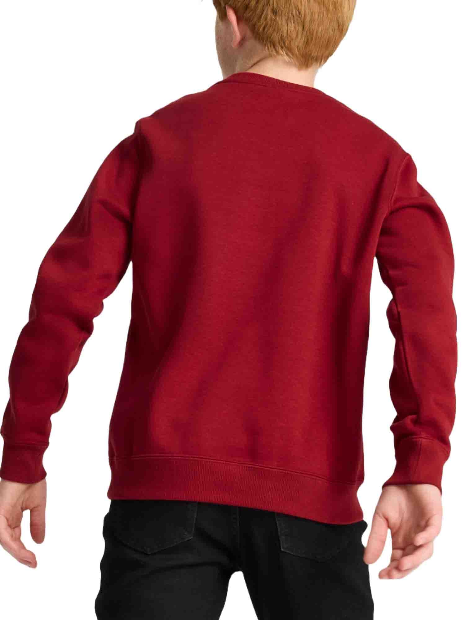 Felpe Rosso Puma