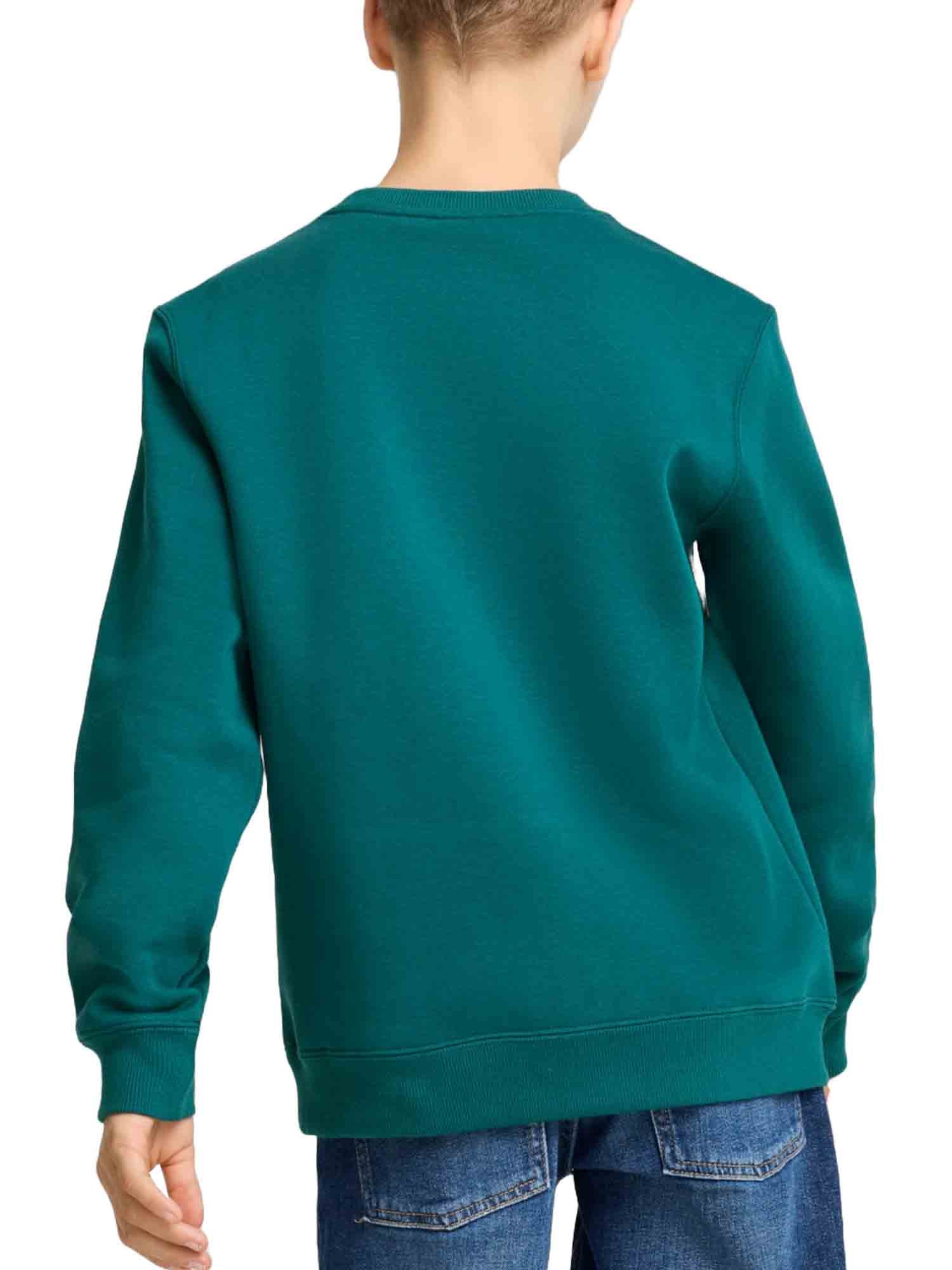 Felpe Verde Puma