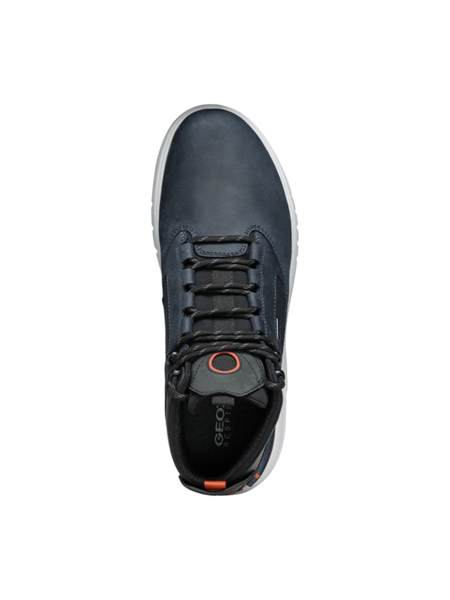 Sneakers Blu Geox