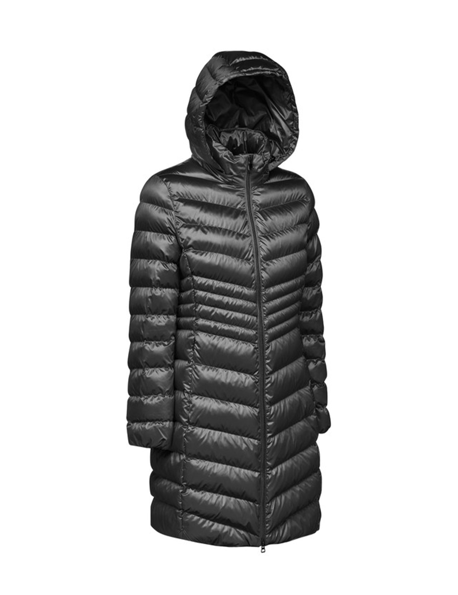 Piumini Nero Geox