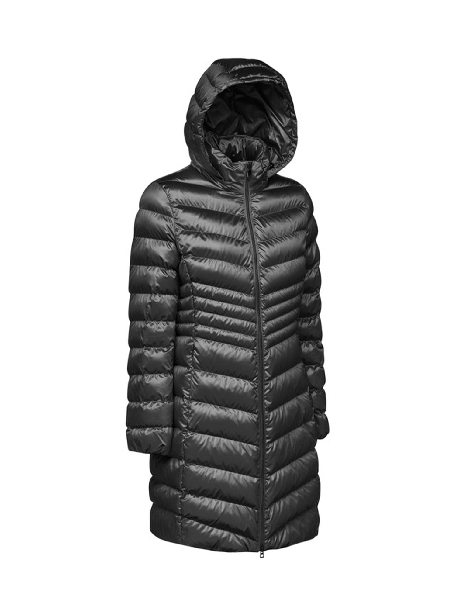 Piumini Nero Geox