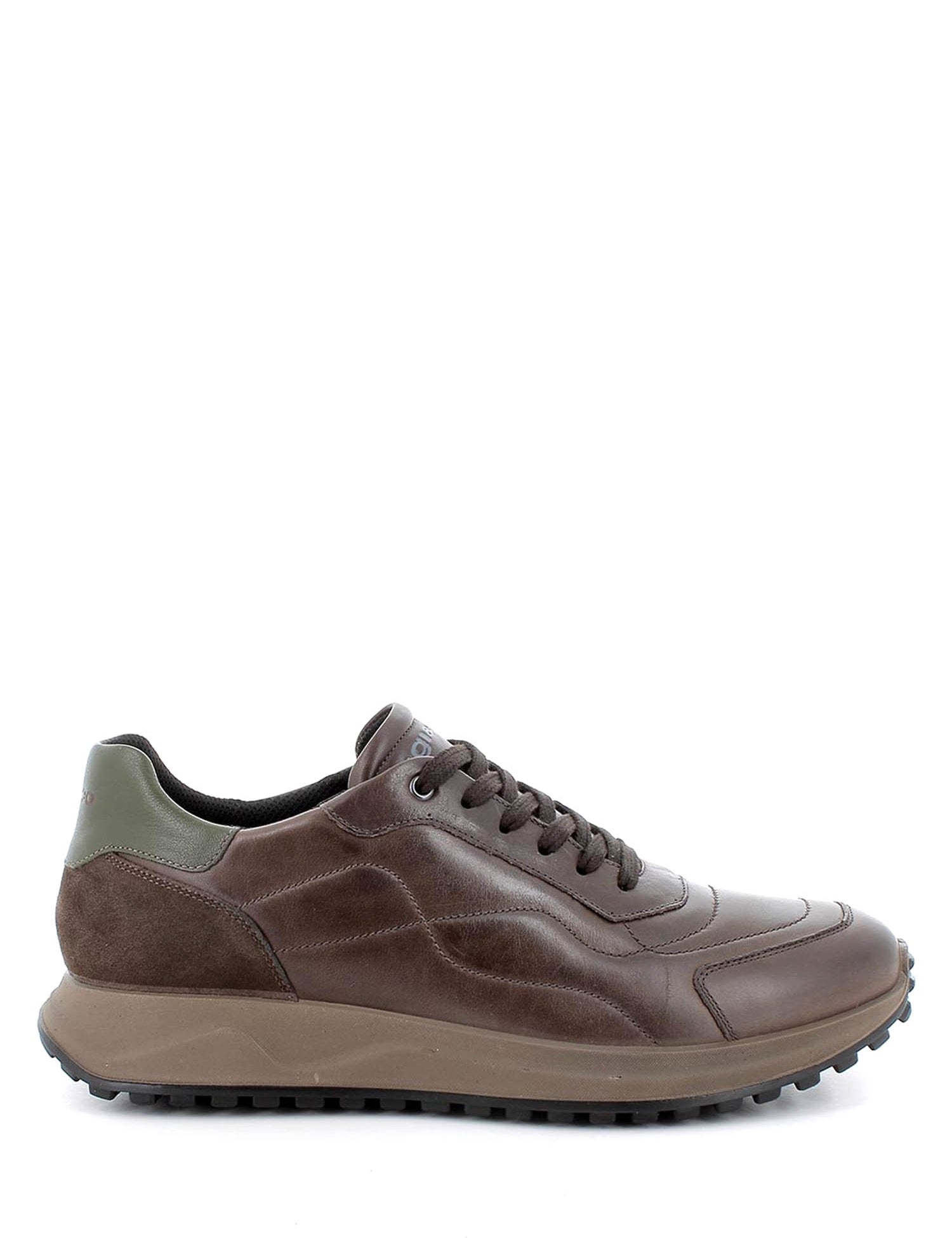 Sneakers Marrone Igi&co