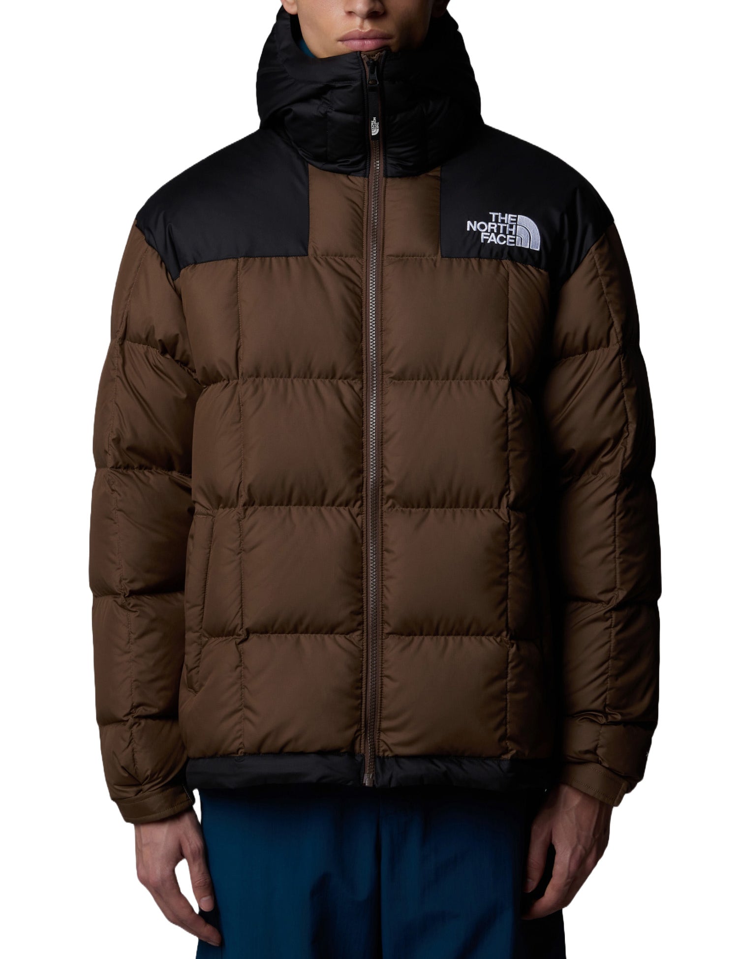 Piumini Marrone The North Face