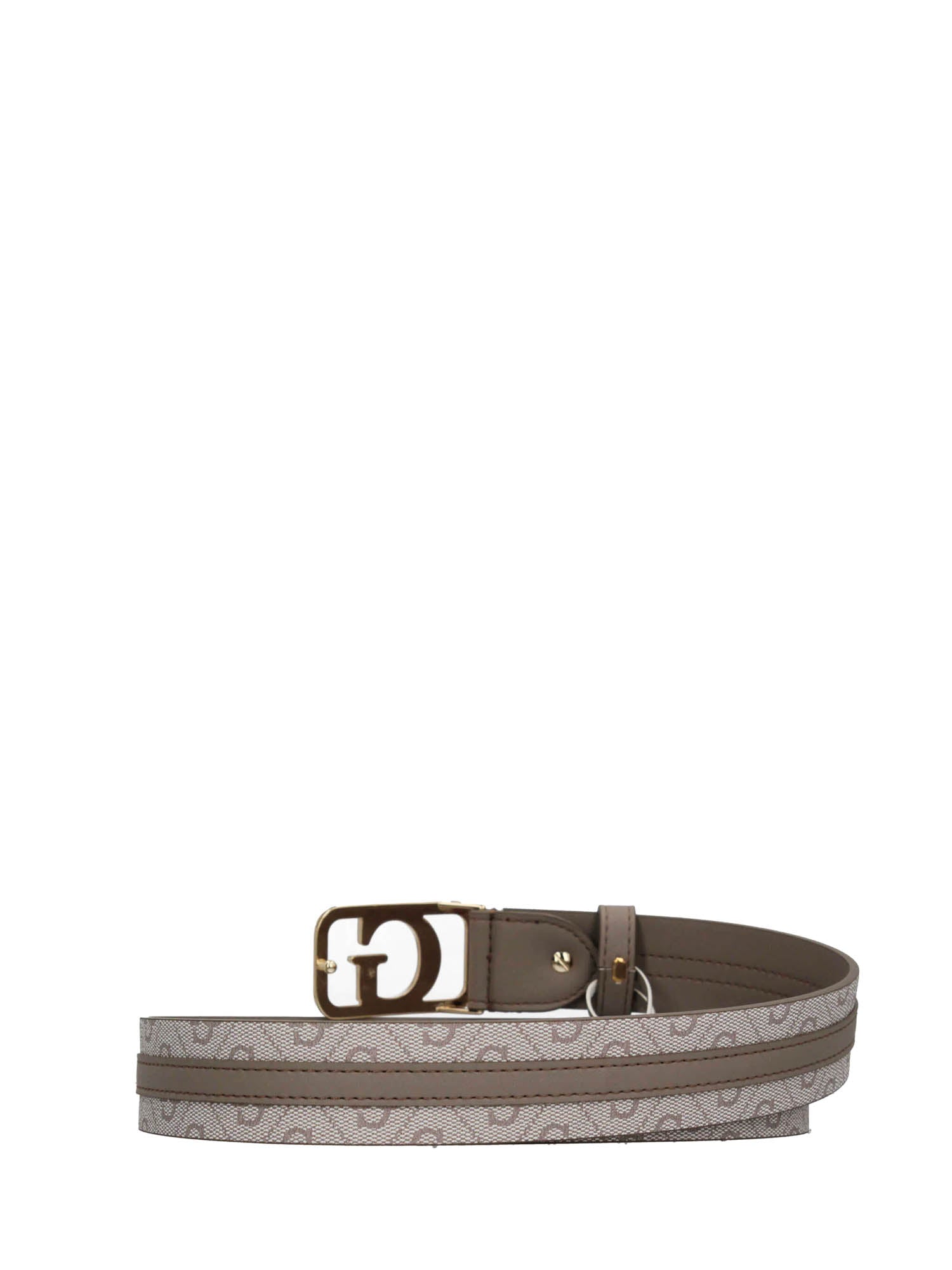 Cinture Tortora Guess