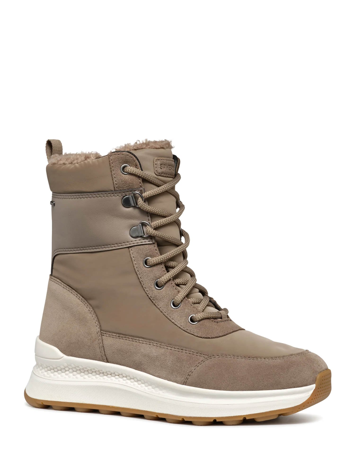 Sneakers Tortora Geox