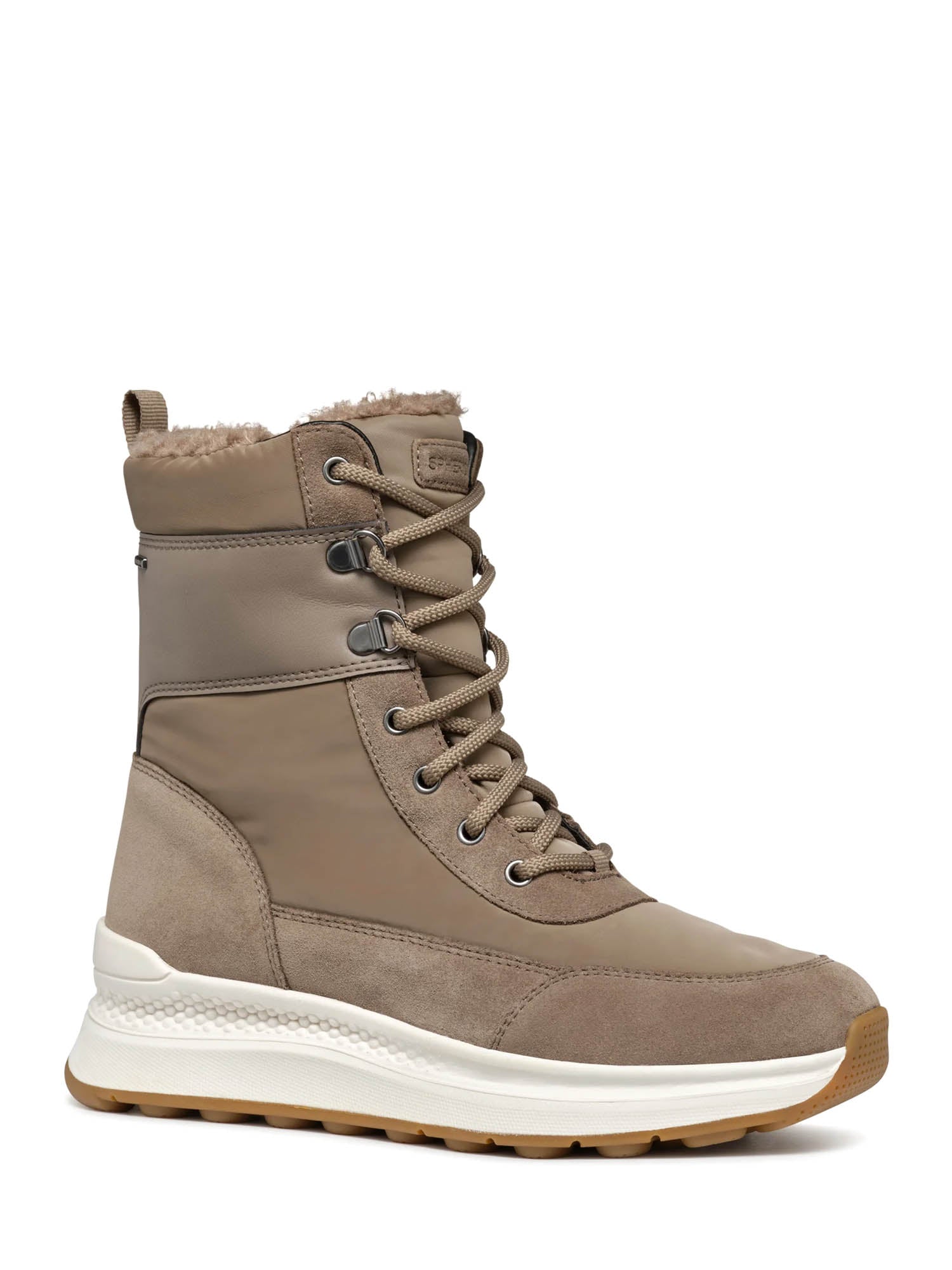 Sneakers Tortora Geox