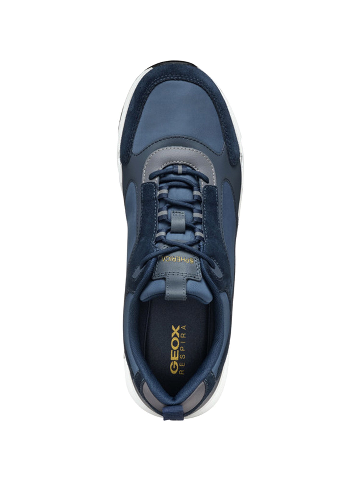 Sneakers Blu Geox