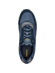 Sneakers Blu Geox