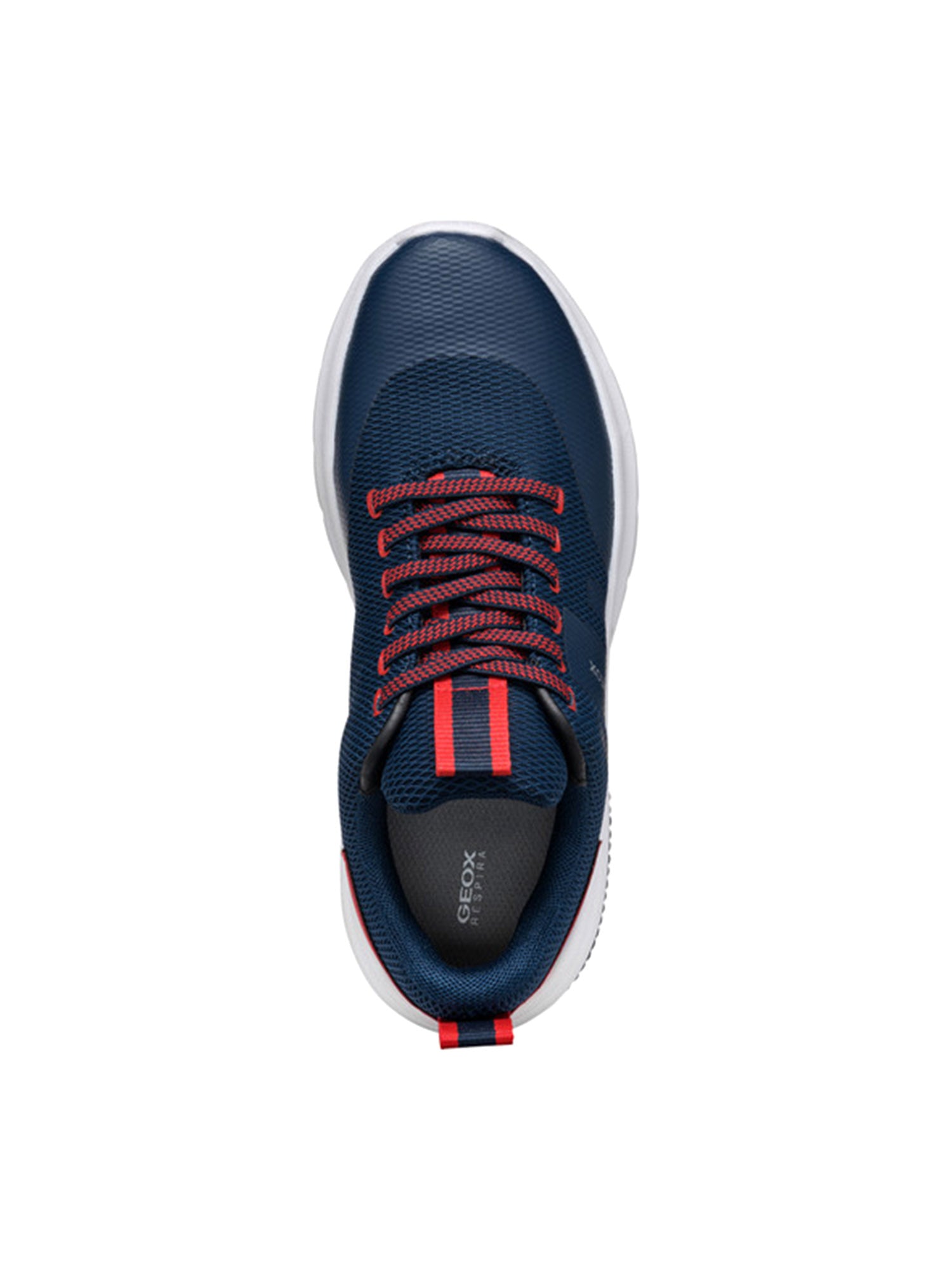 Sneakers Blu Geox