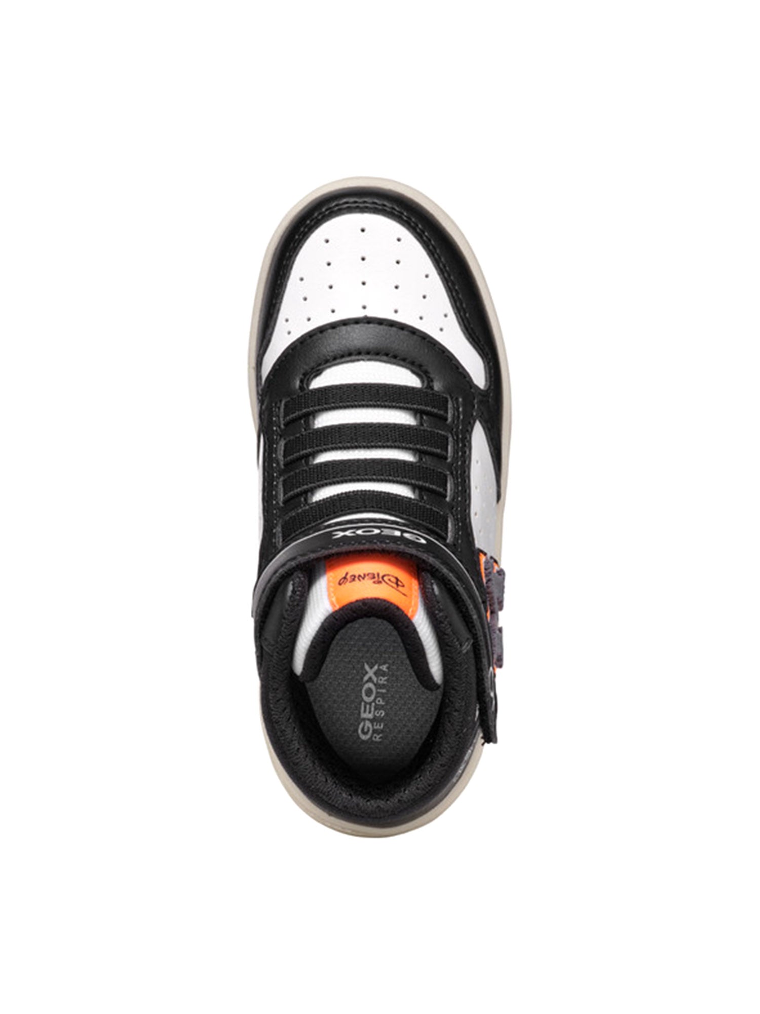 Sneakers Nero Geox