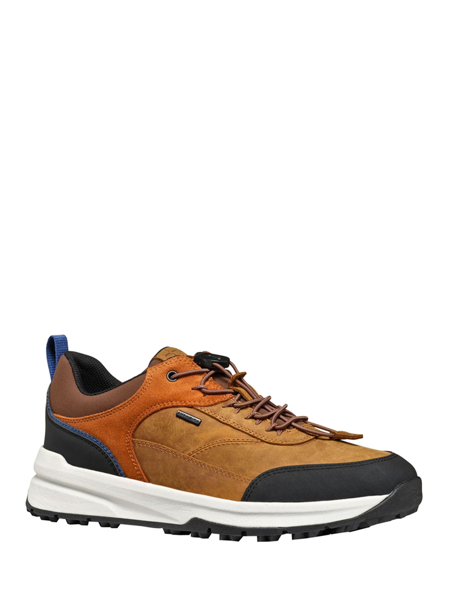 Sneakers Marrone Geox