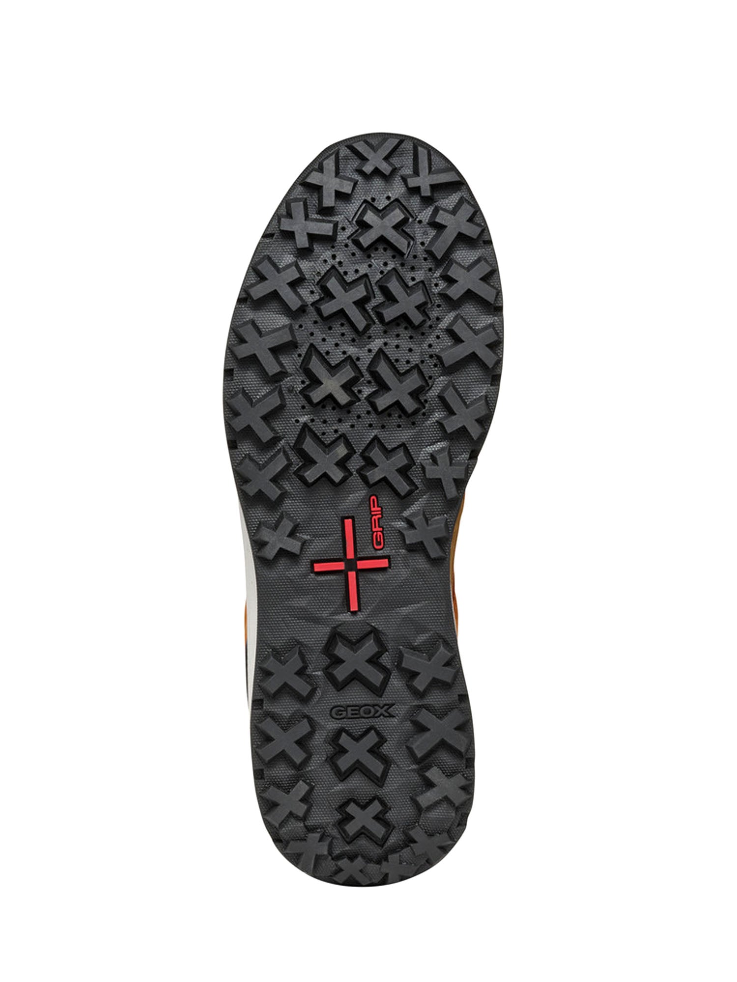 Sneakers Marrone Geox