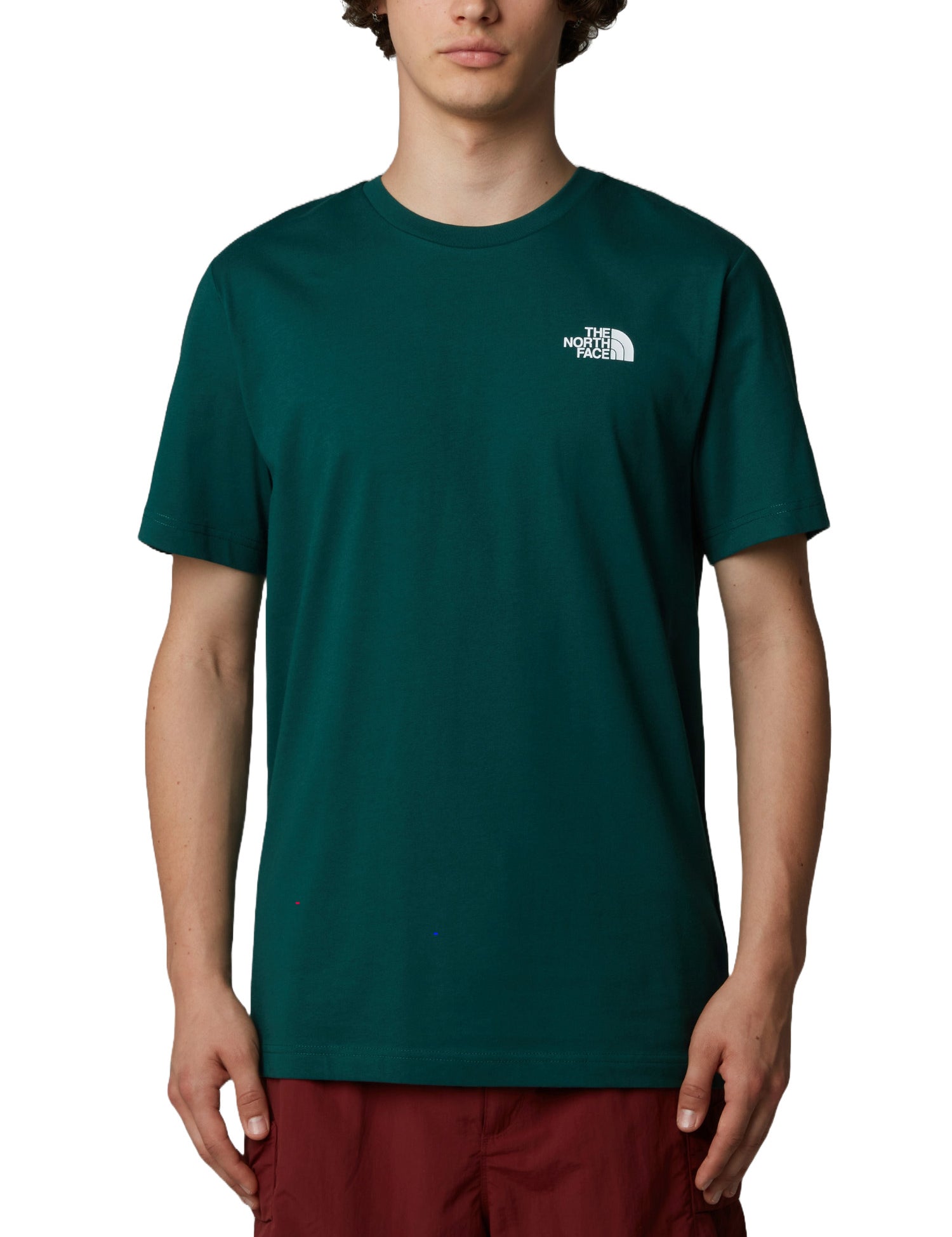 T-shirt Verde The North Face