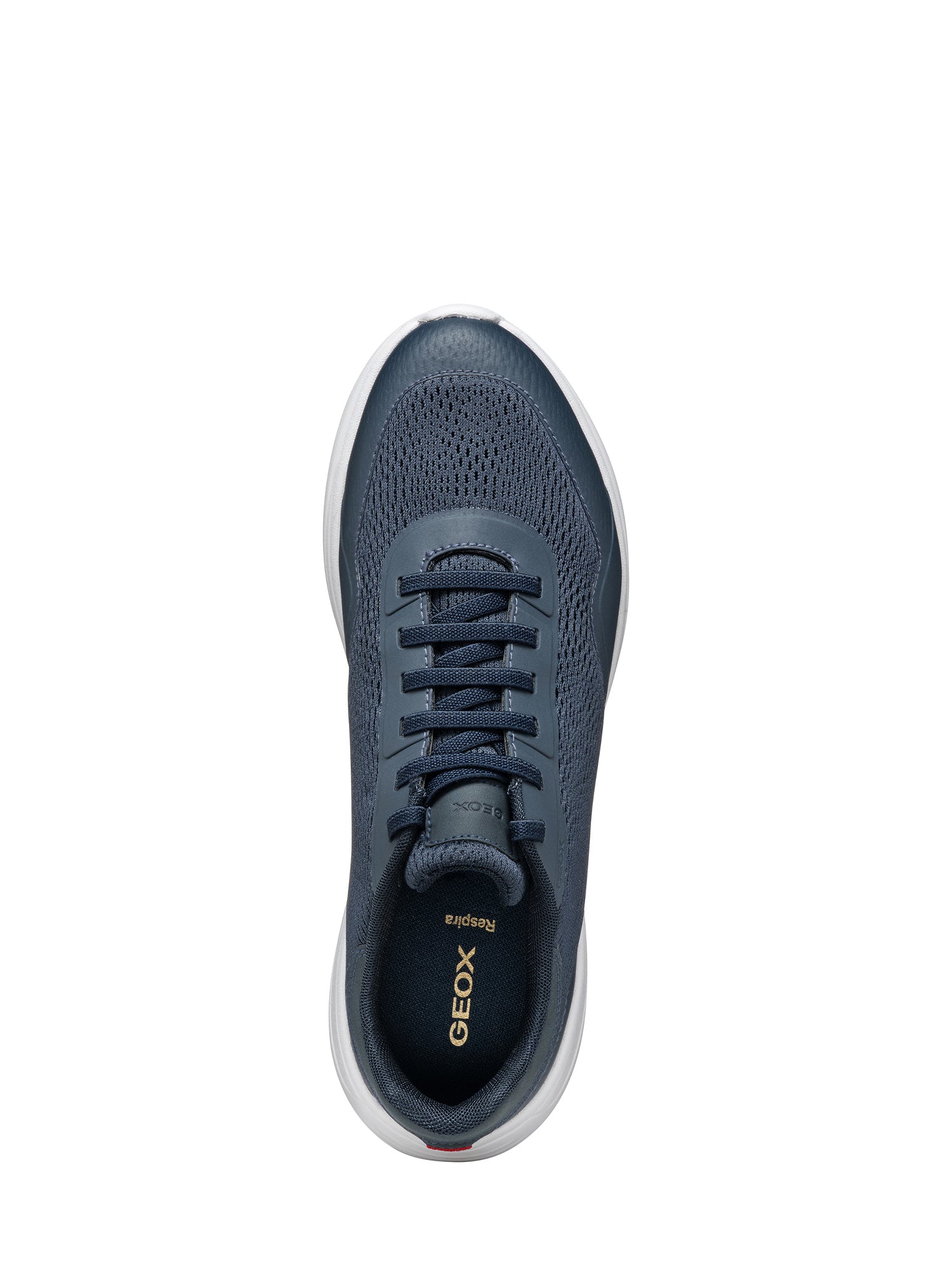 Sneakers Blu Geox