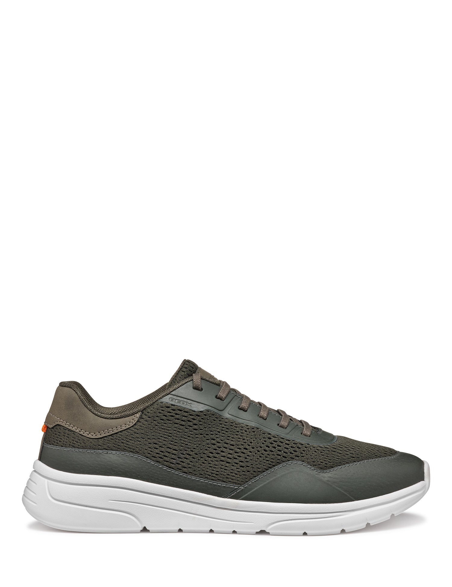 Sneakers Verde Geox