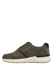 Sneakers Tortora Valleverde
